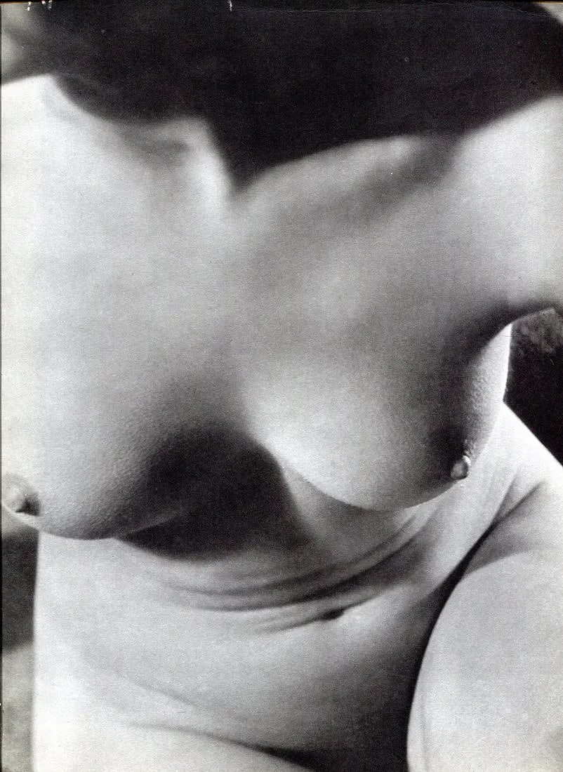 Emeric Feher - Nude Torso: Vintage Sheet-fed Gravure. Modernist fragment study focusing on line and shadow. Image size: approx. 8.5" x 11"., Mounted to archival board