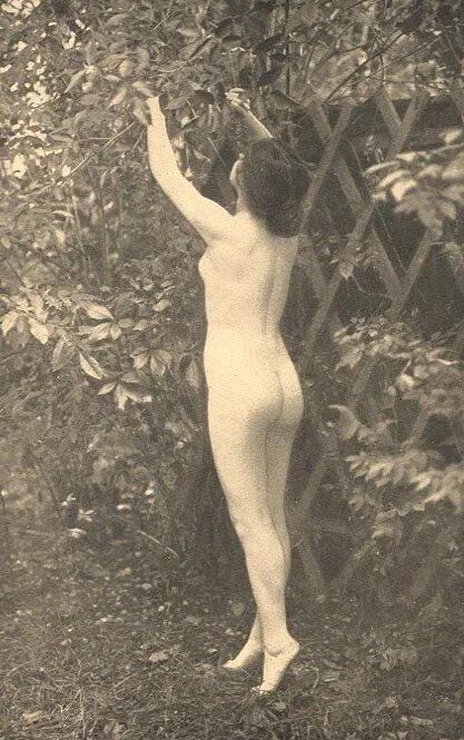 Stefanie Ludwig - Nude Maiden: Vintage Sheet-fed Gravure. A soft-focus, romantic pictorialist study. Image size: approx. 8.5" x 11"., Mounted to archival board