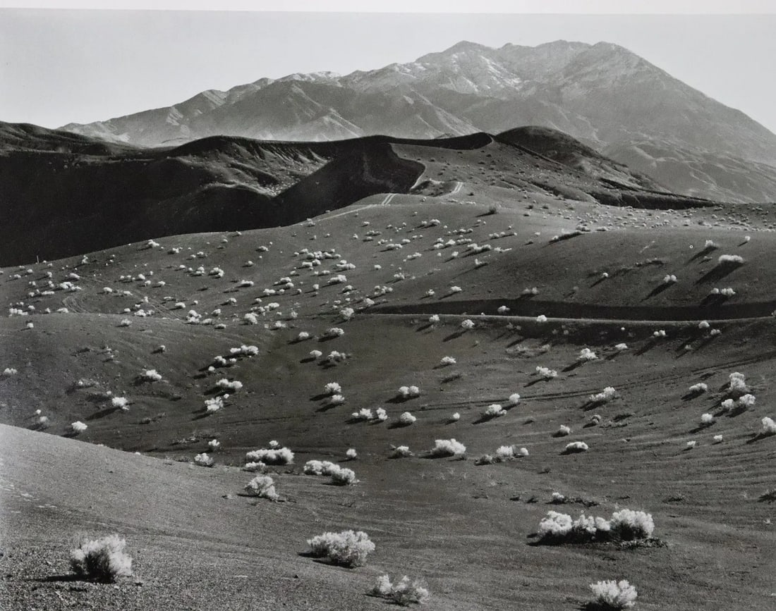 Edward Weston - Photo-Litho, 20th C.: Vintage Photo-Litho. Detailed exploration of shadows and highlight typical of Weston. Image size: approx. 7.5" x 9.5"., Mounted to archival board
