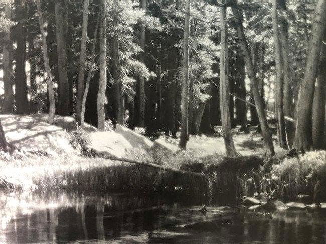 Ansel Adams - Forest And Stream, California C. 1923: Photo-Litho printed later in the 20th Century. An early pictorialist landscape from Adams' formative years. Image size: approx. 5.5" x 7"., Mounted to archival board