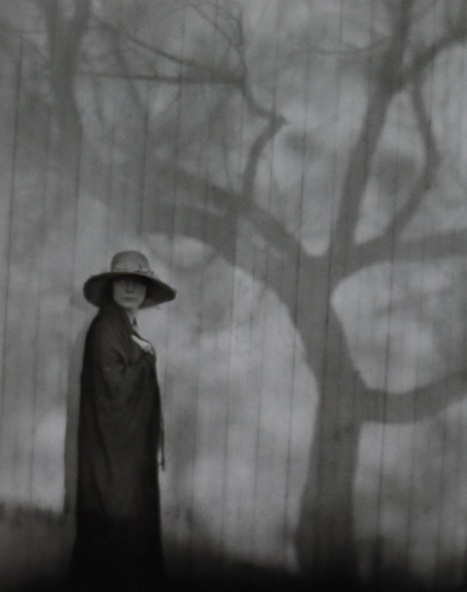 Edward Weston - Photo-Litho, 20th C.: Vintage Photo-Litho. A refined study of light and shadow on organic matter. Image size: approx. 7.5" x 9.5"., Mounted to archival board