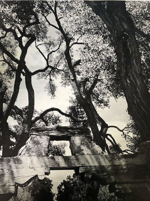 Ansel Adams - Gate, Nambe Road, New Mexico 1972: Photo-Litho printed later in the 20th Century. An architectural and light study of the American Southwest. Image size: approx. 5.5" x 7"., Mounted to archival board