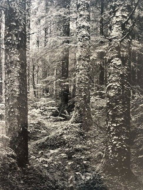 Ansel Adams - Glacier Bay National Monument, Alaska: Photo-Litho printed in the late 20th Century. A grand view of the Alaskan wilderness. Image size: approx. 5.5" x 7"., Mounted to archival board
