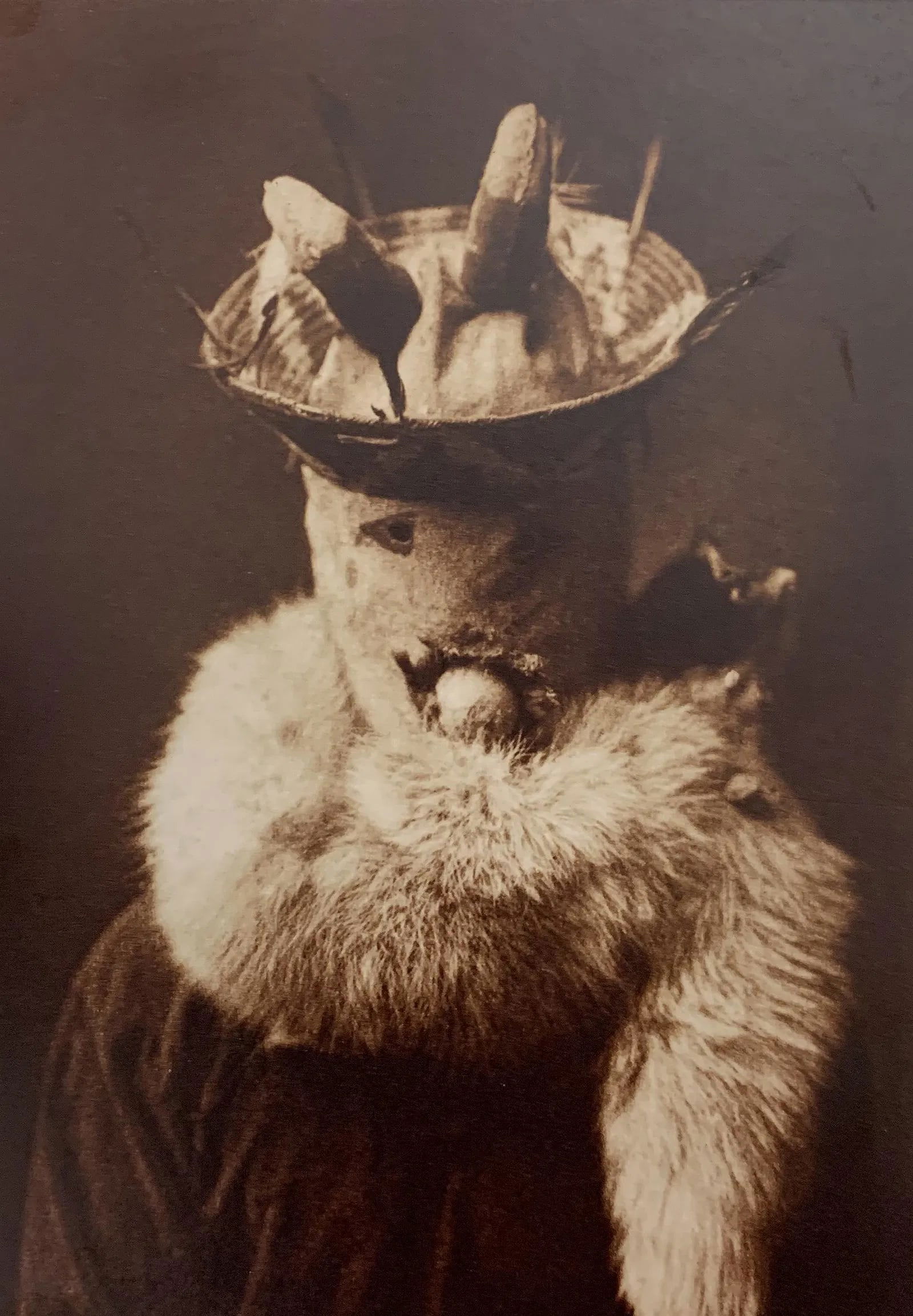 Edward Curtis - Photo-Litho, Printed Later (1 of 1)