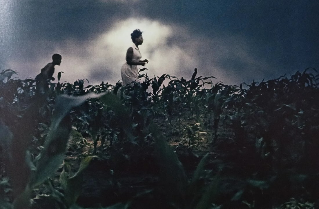 Gordon Parks - Fort Scott, Kansas, Photo-Litho: GORDON PARKS - (1912-2006), Fort Scott, Kansas, Photo-Litho, Printed later 20th Century, 5 1/2" x 7 3/4" (Image Size), Mounted to archival board