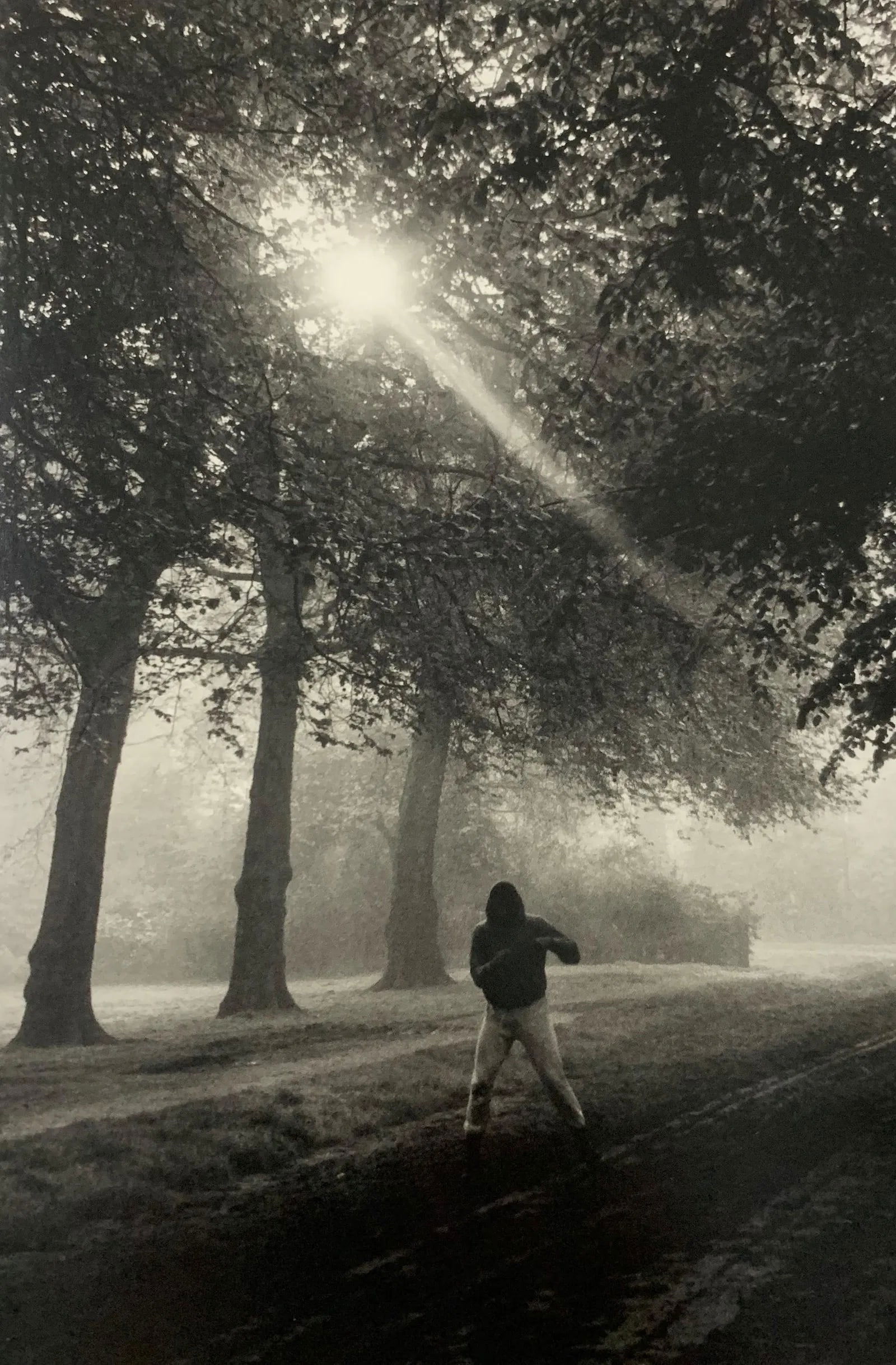 Gordon Parks - Muhammad Ali, Photo-Litho: GORDON PARKS - (1912-2006), Muhammad Ali, Photo-Litho, Printed later 20th Century, 8 3/4" x 6 1/4" (Image Size) , Mounted to archival board