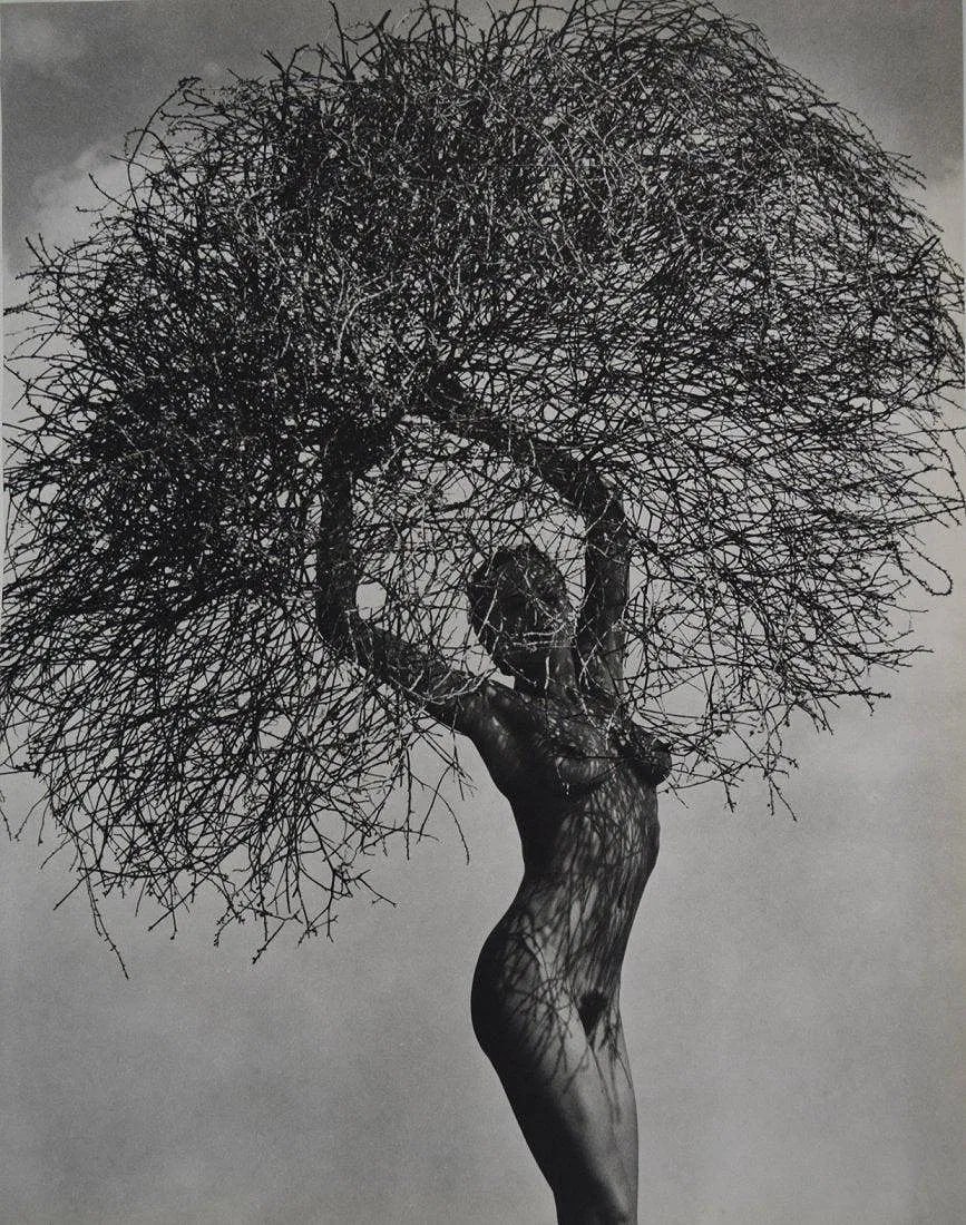 Herb Ritts - Nude, Neith with Tumbleweed, 1986: HERB RITTS (1952-2002), Neith with Tumbleweed, 1986, Sheet fed gravure C. 1986, Printed in Japan, 14" x 11" , Mounted to archival board