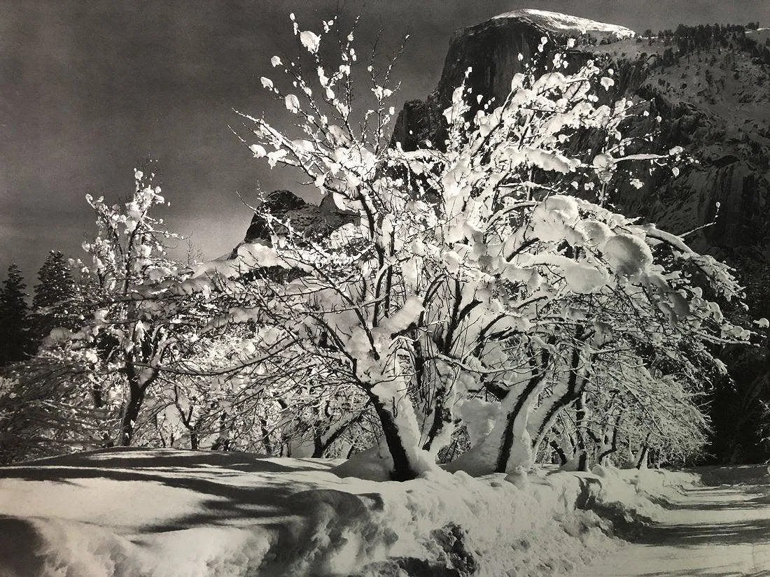 Ansel Adams - Half Dome, California c. 1935: ANSEL ADAMS (B.1902-1984), Half Dome, Orchard, Winter, Yosemite National Park, California c. 1935, Photo-litho, 11.5" x 14.5", Printed second half of 20th Century , Mounted to archival board