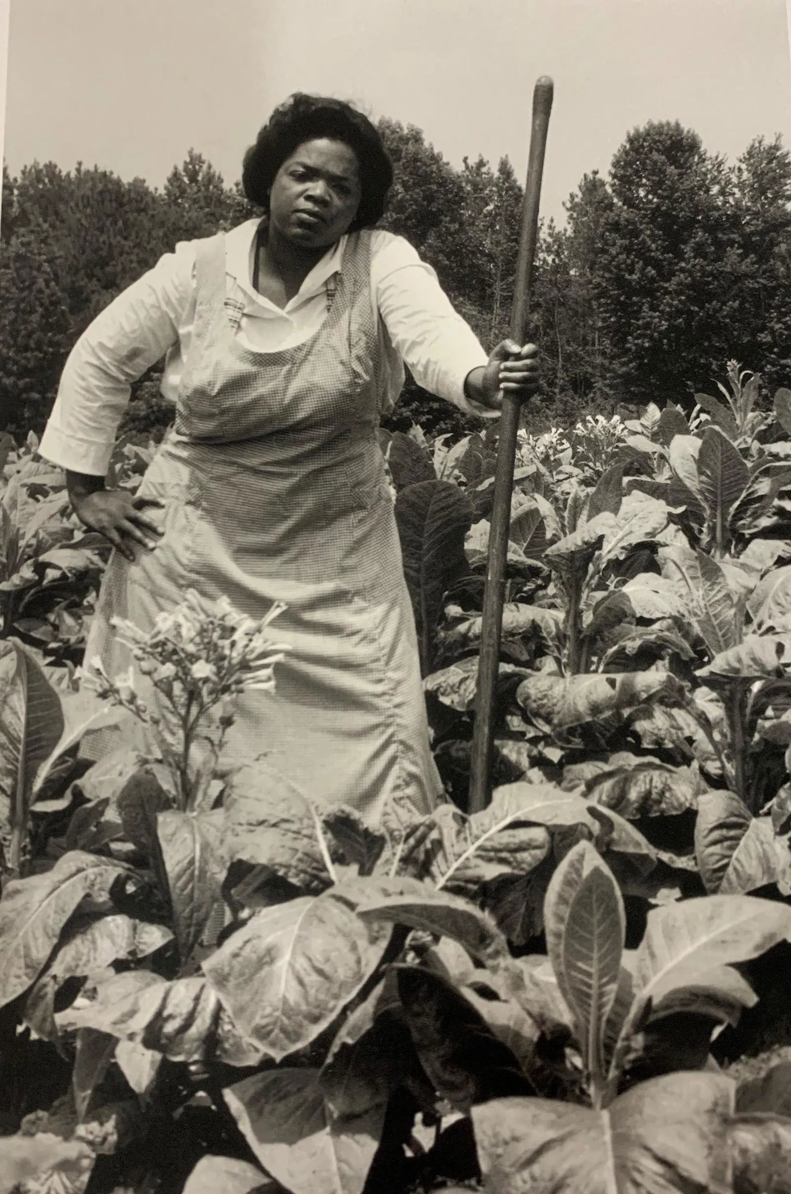 Gordon Parks - Oprah Winfrey, Photo-Litho: GORDON PARKS - (1912-2006), Photo-Litho, Printed later 20th Century, 8 3/4" x 6" (Image Size) , Mounted to archival board