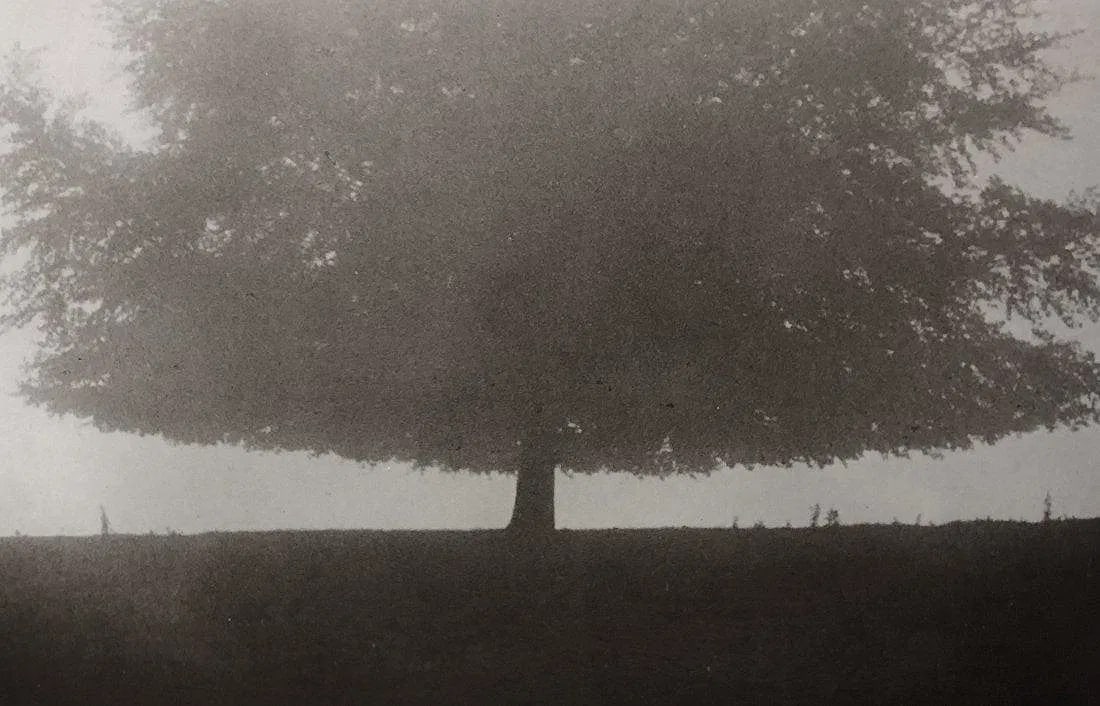 Jock Sturges- Vanessa; Tuscany, Italy, 1999: JOCK STURGES (B.1947) Vanessa; Tuscany, Italy, 1999 Photo-litho 8.5" x 11"