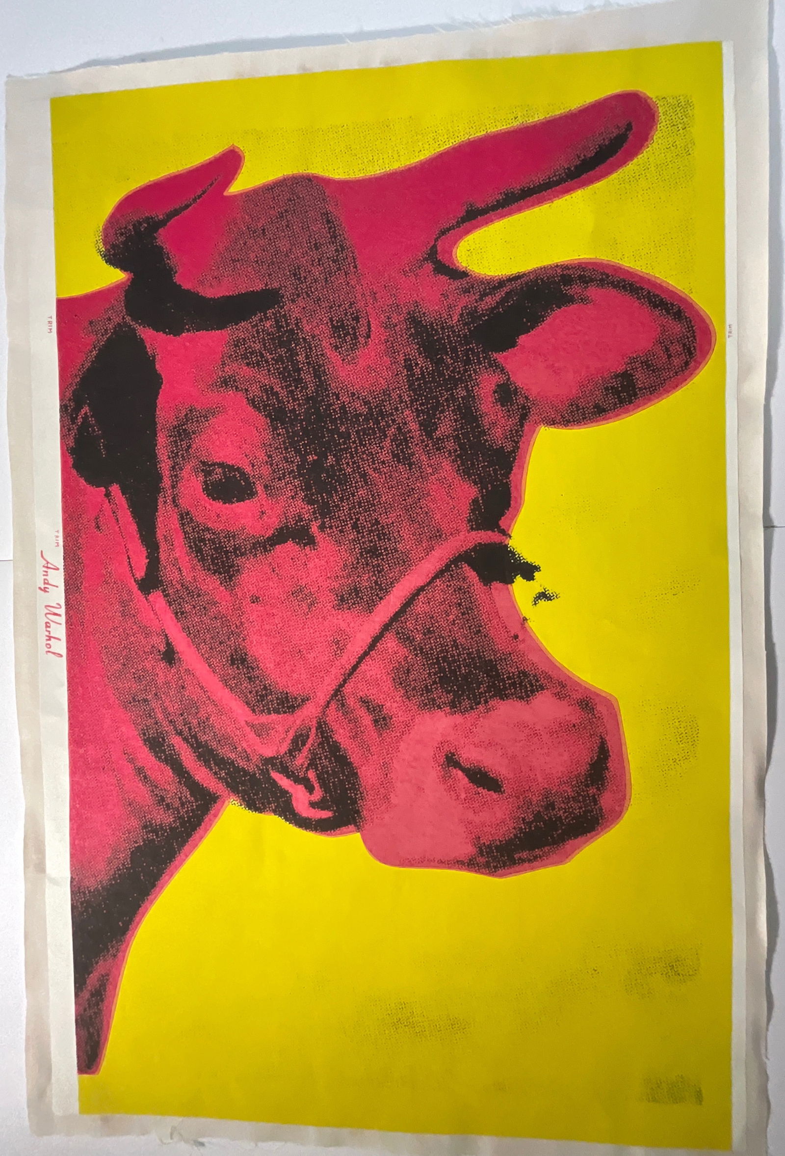Warhol cow wallpaper linen backed: Measures 45 x 30 inches