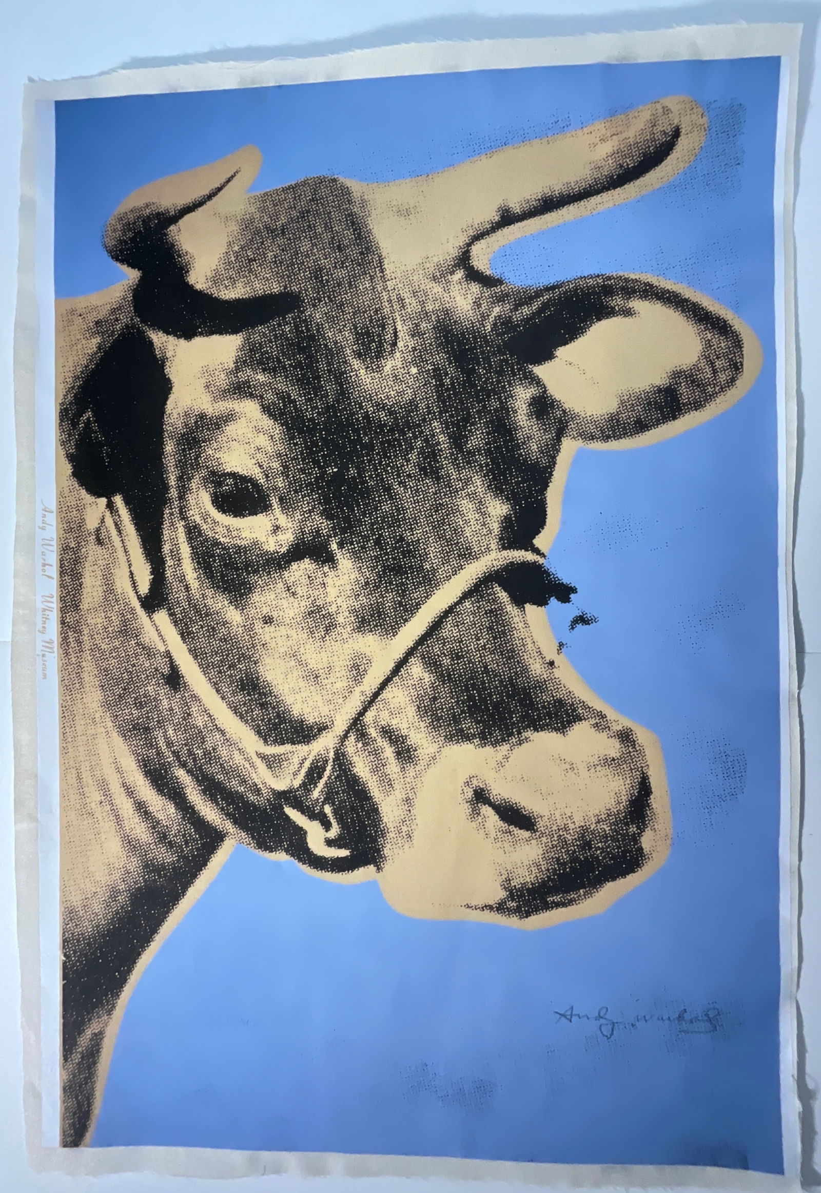 Warhol Cow print mounted to linen: Pencil signed lower right, measures 44.25 x 31 inches