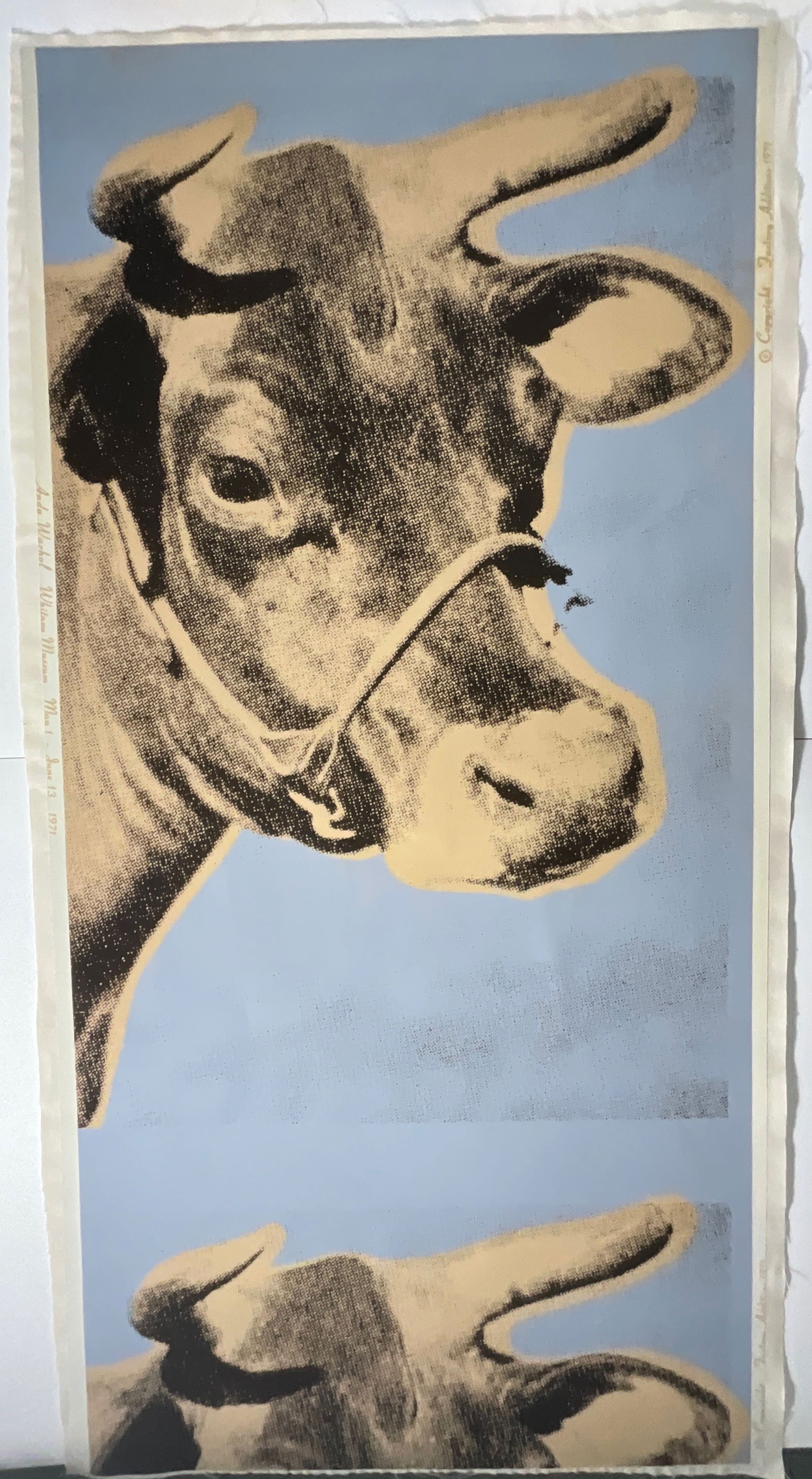 Warhol Double Cow