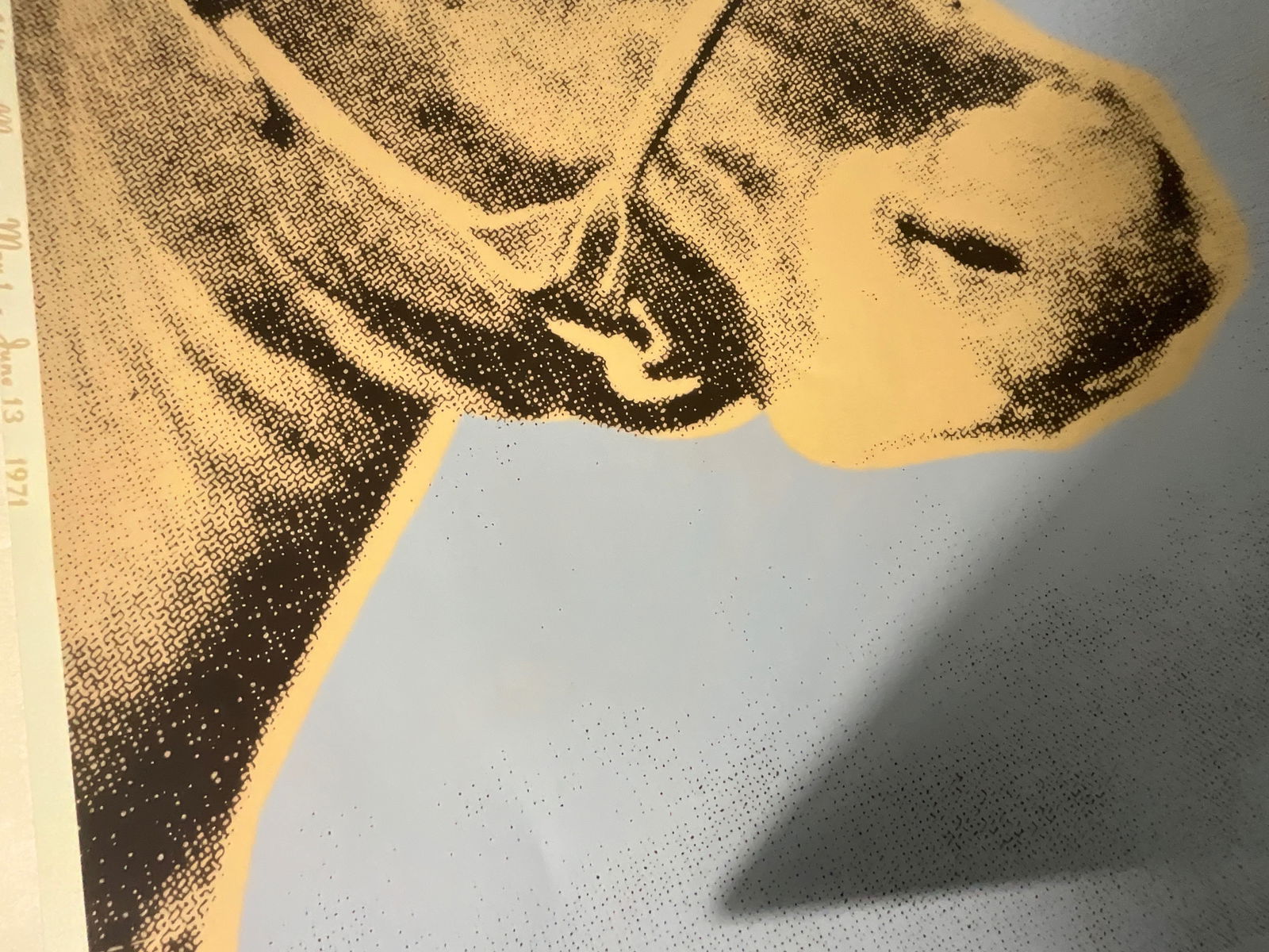Warhol Double Cow - 8
