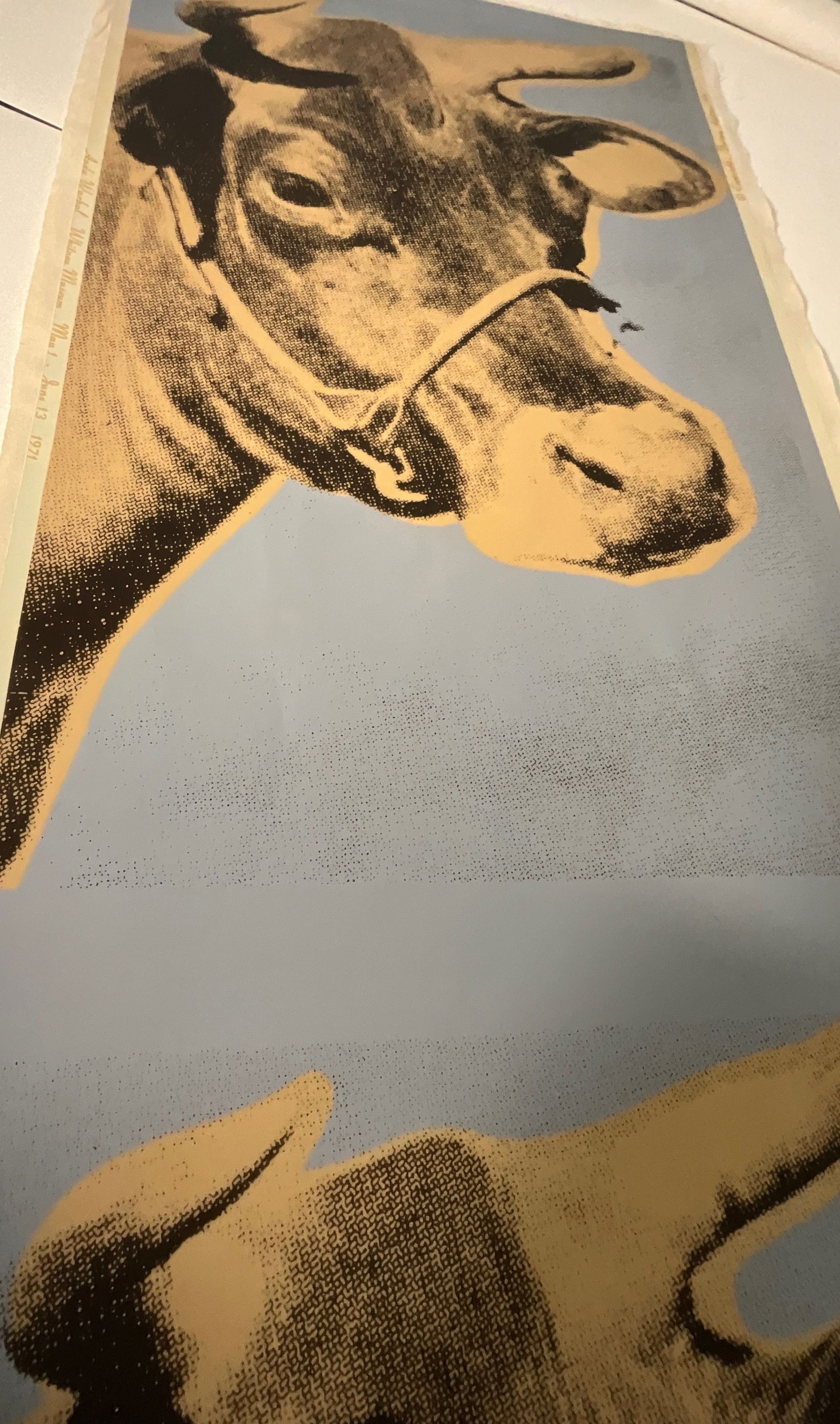 Warhol Double Cow - 9