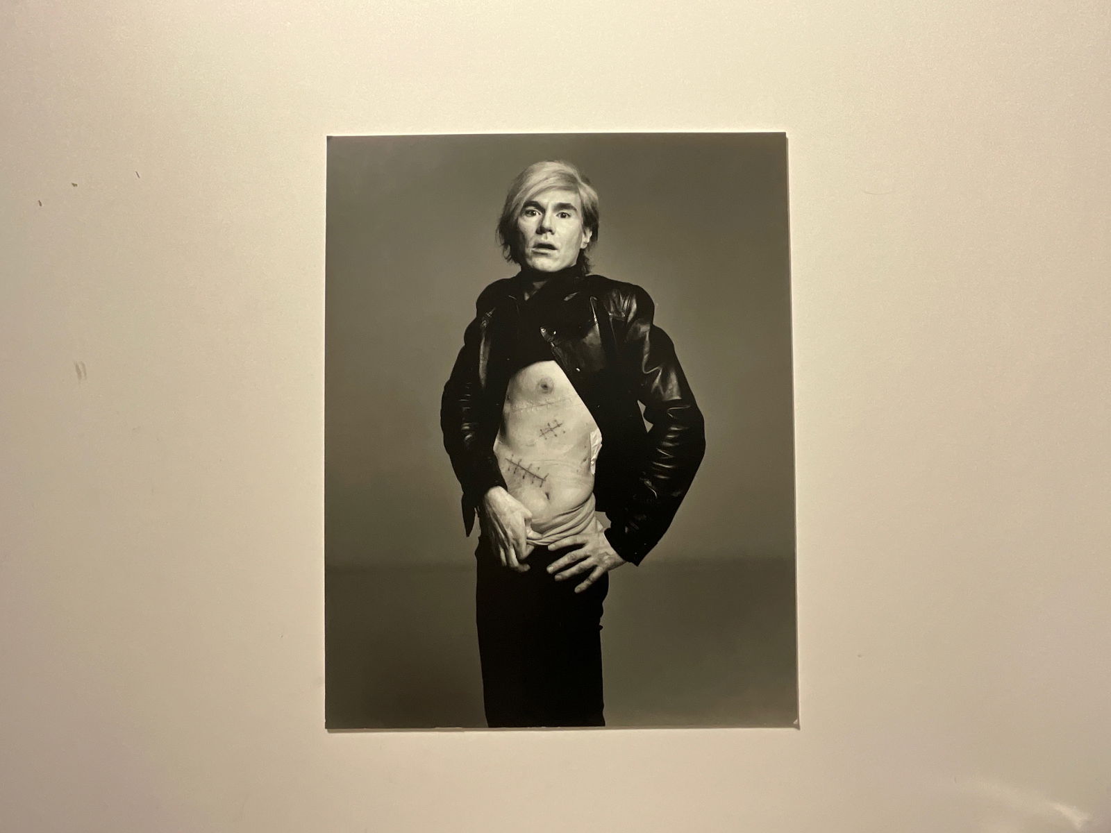 Richard Avedon: Andy Warhol: Richard Avedon Andy Warhol 1969, measures 12 x 9.5 inches, photo litho.