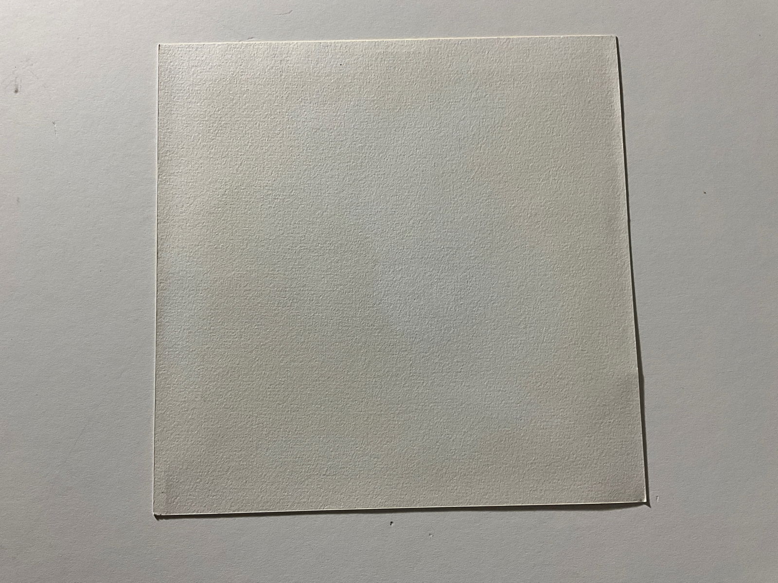 Ken Light: Platinum Print - 3