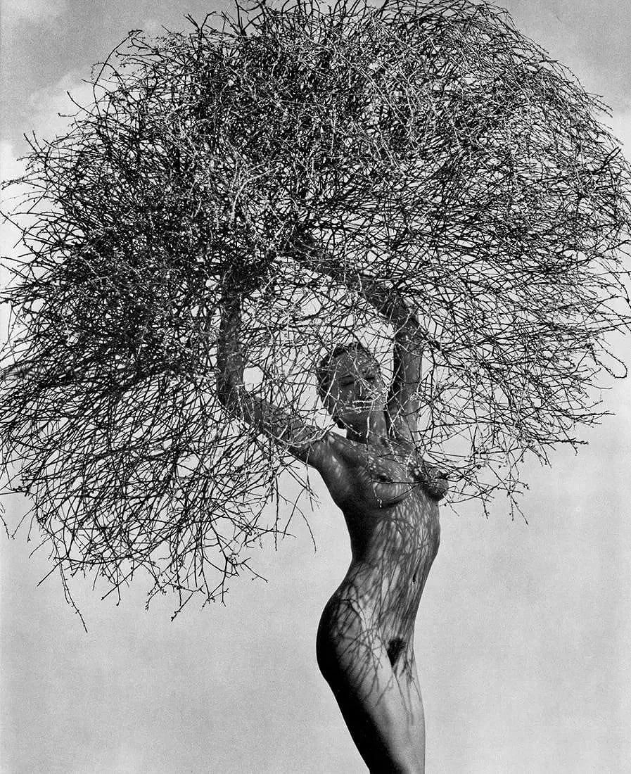 Herb Ritts (American, 1952-2002) Print: Neith with Tumbleweed Print. Printed in 1988, Japan. 11.00 x 13.00 inches. Mounted to foam board