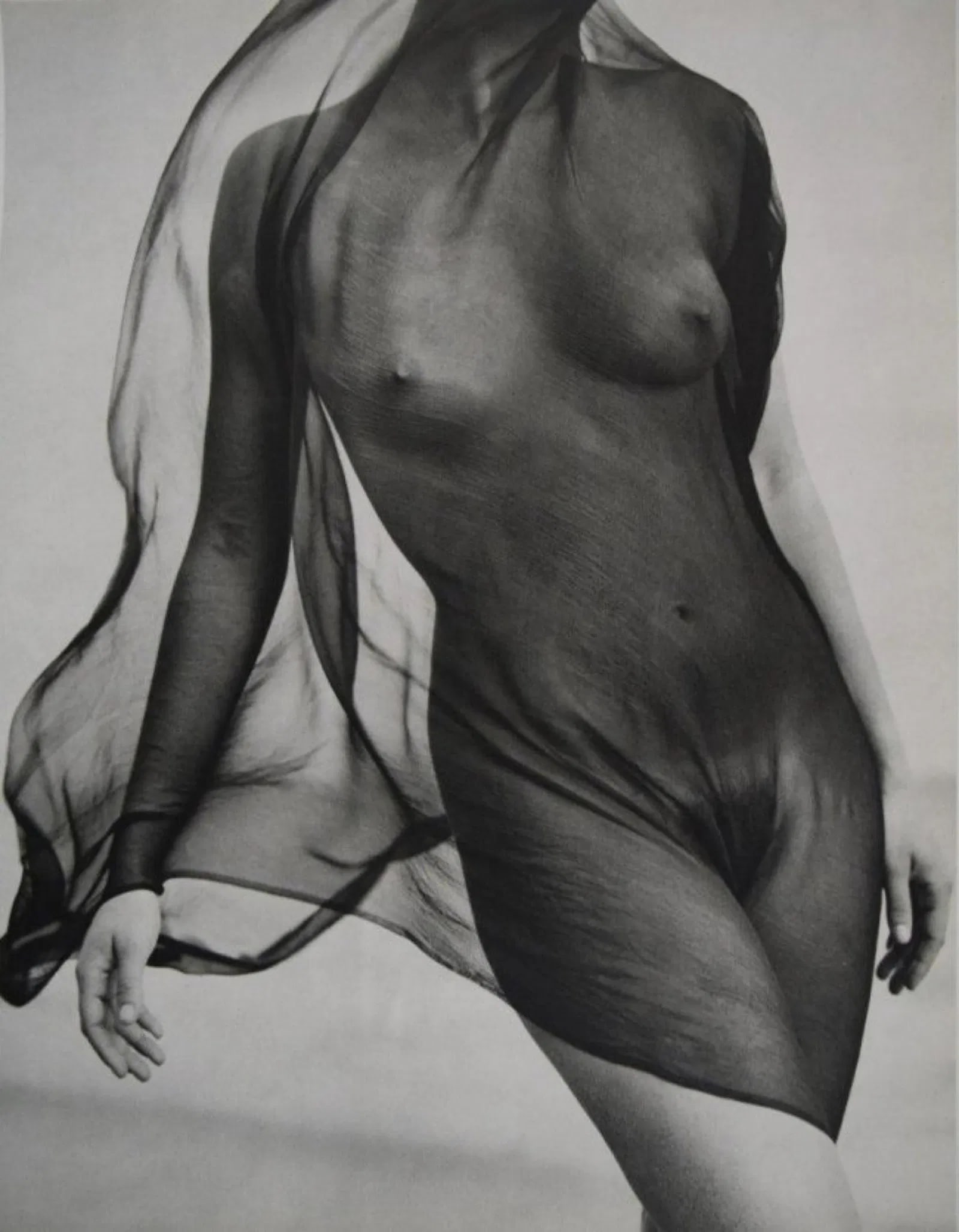 Herb Ritts - Nude , Veiled Torsso , 1984: HERB RITTS ( 1952-2002) Nude , Veiled Torsso , 1984 Sheet fed gravure C. 1988, mounted to archival board