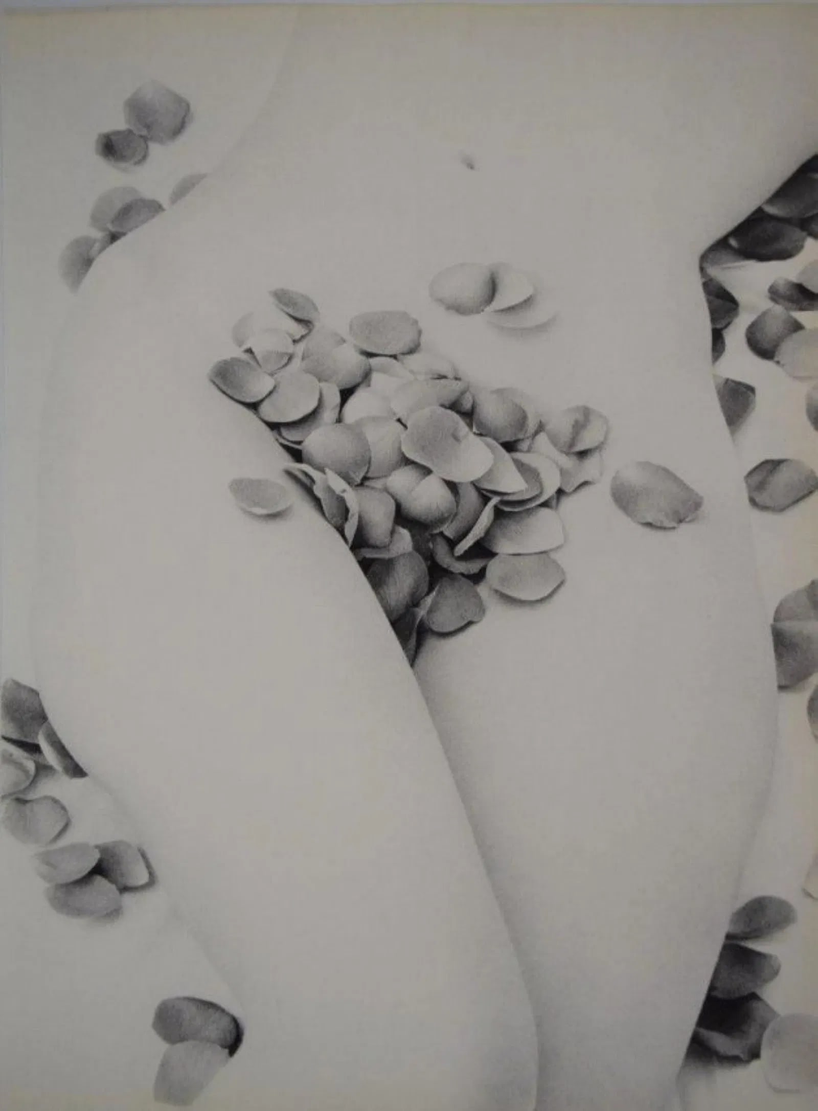 Wingate Paine - Nude with Flower Petals: WINGATE PAINE (1915-1987) Nude with Flower Petals Sheet-fed gravure, C.1960\'s, mounted to archival board