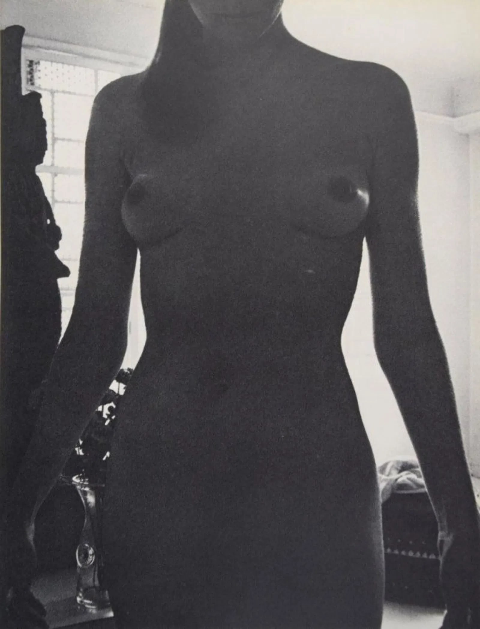 Wingate Paine - Shadow Nude: WINGATE PAINE (1915-1987) Shadow Nude Sheet-fed gravure, C.1960's, mounted to archival board