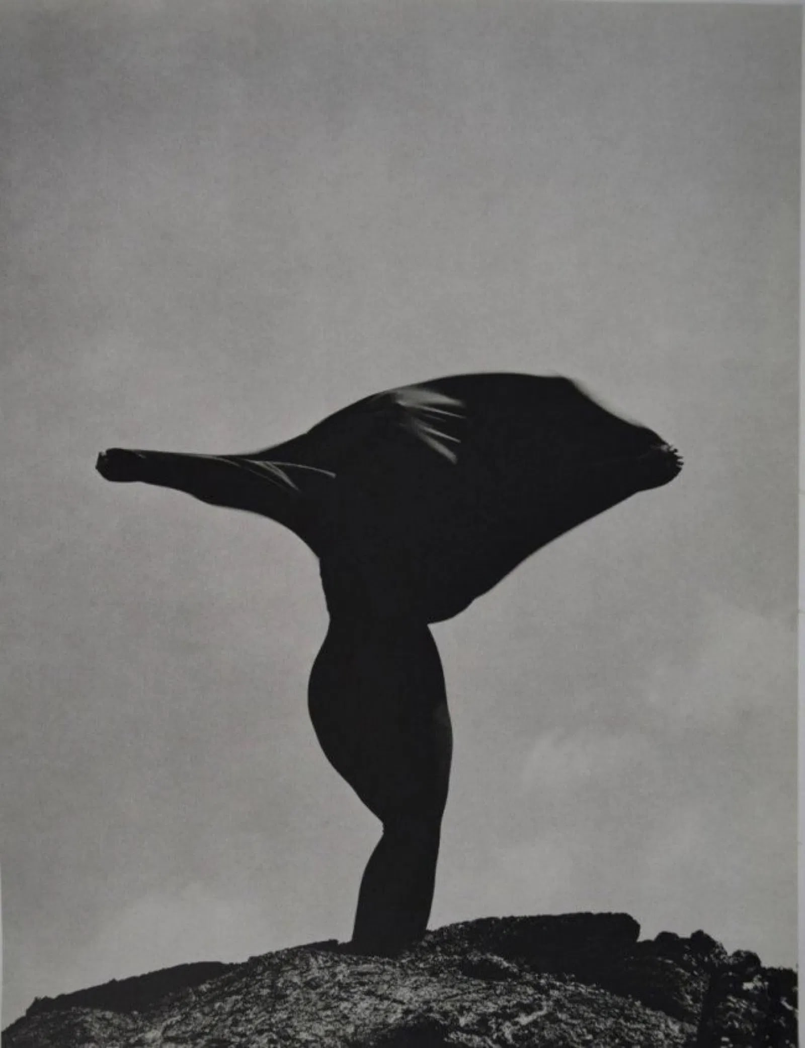 Herb Ritts - Andi MacDowell: HERB RITTS (1952-2002) Andi MacDowell Sheet-Fed Gravure C. 1988, mounted to archival board