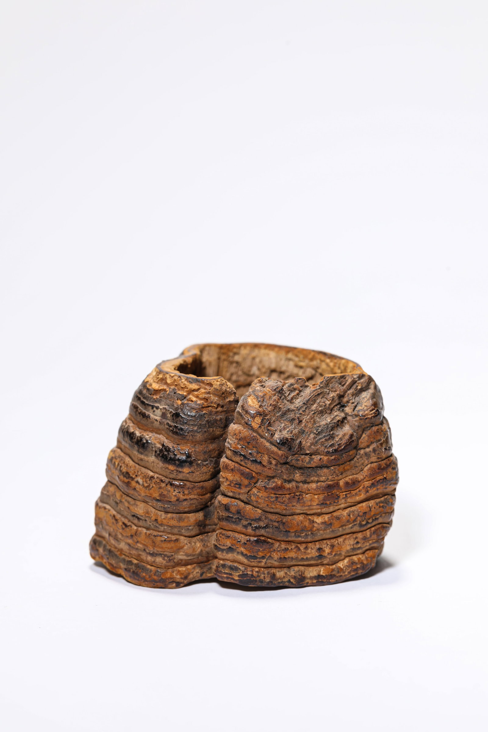 A 'Lingzhi' Water Pot: A 'Lingzhi' Water Pot Dimensions: Length: 7.2 cm (2.83 in) x Width: 6.5 cm (2.56 in) x Height: 4.8 cm (1.89 in). All measurements are approximate.