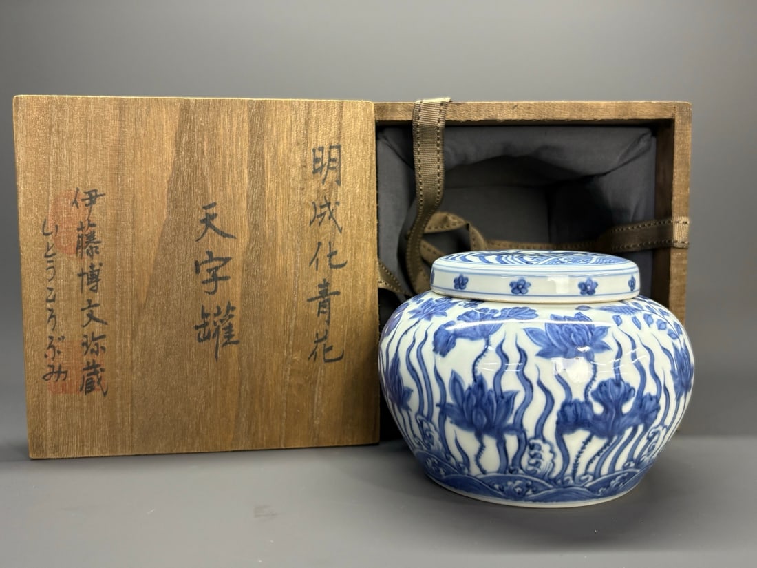 A Blue and White 'Floral' 'Tian' Jar (1 of 9)