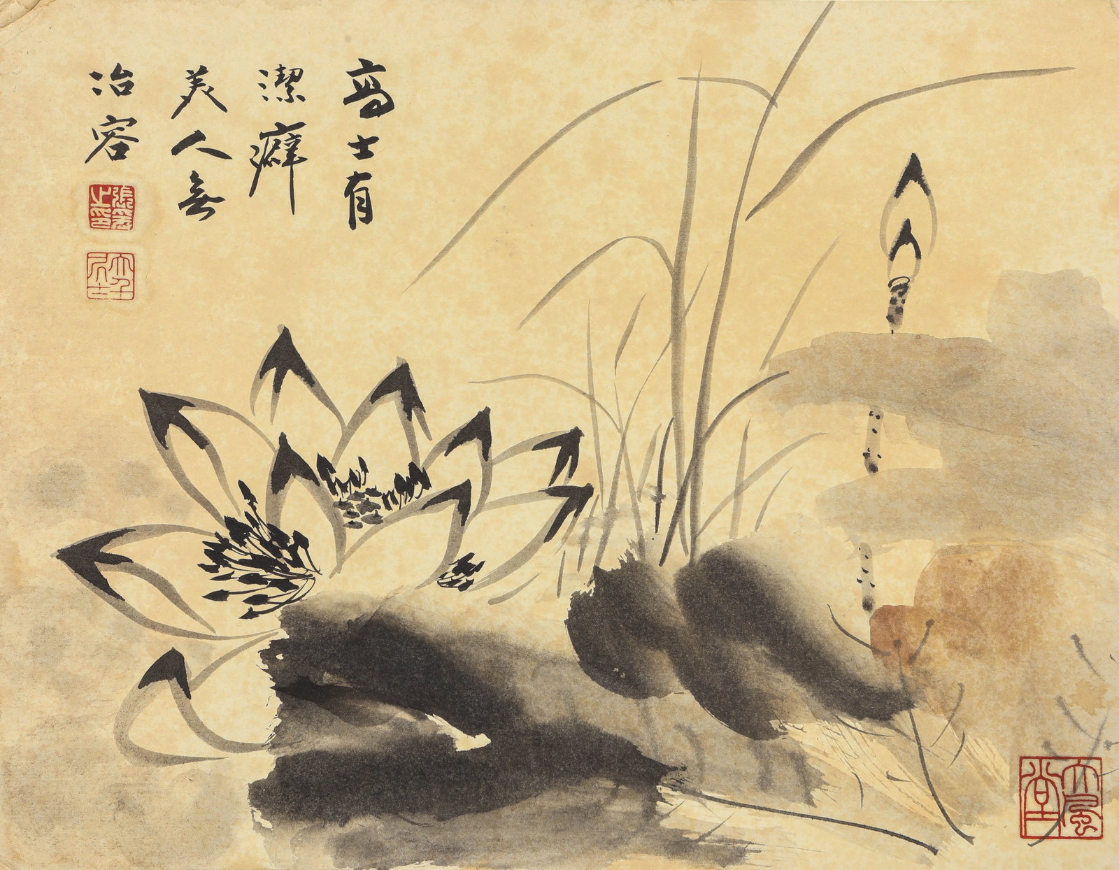 Zhang Daqian (1899-1983), attributed to, Lotus: Zhang Daqian (1899-1983), attributed to, Lotus Dimensions: Width: 41 cm x Height: 31 cm. All measurements are approximate.