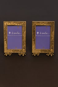 GOTHIC SPIDER WEB METAL PICTURE FRAME