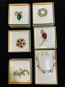 ASSORTED LARGE BOXED JEWELRY SET - 5 BROOCH PINS & 1 NECKLACE/EARRING SET
