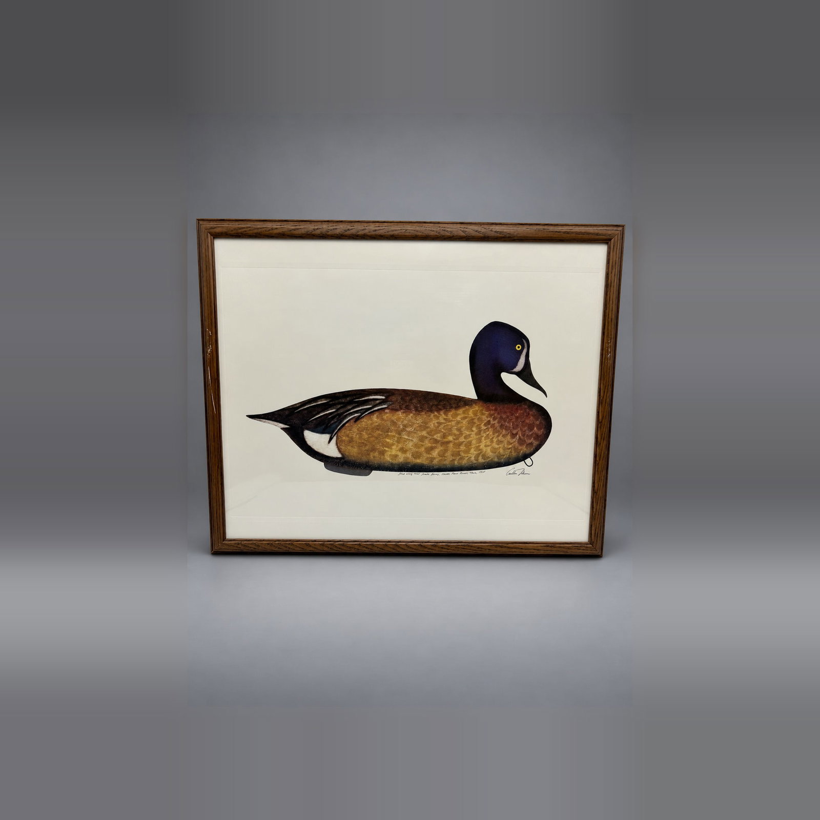 Carlton Plummer Blue-Winged Teal Art - 3