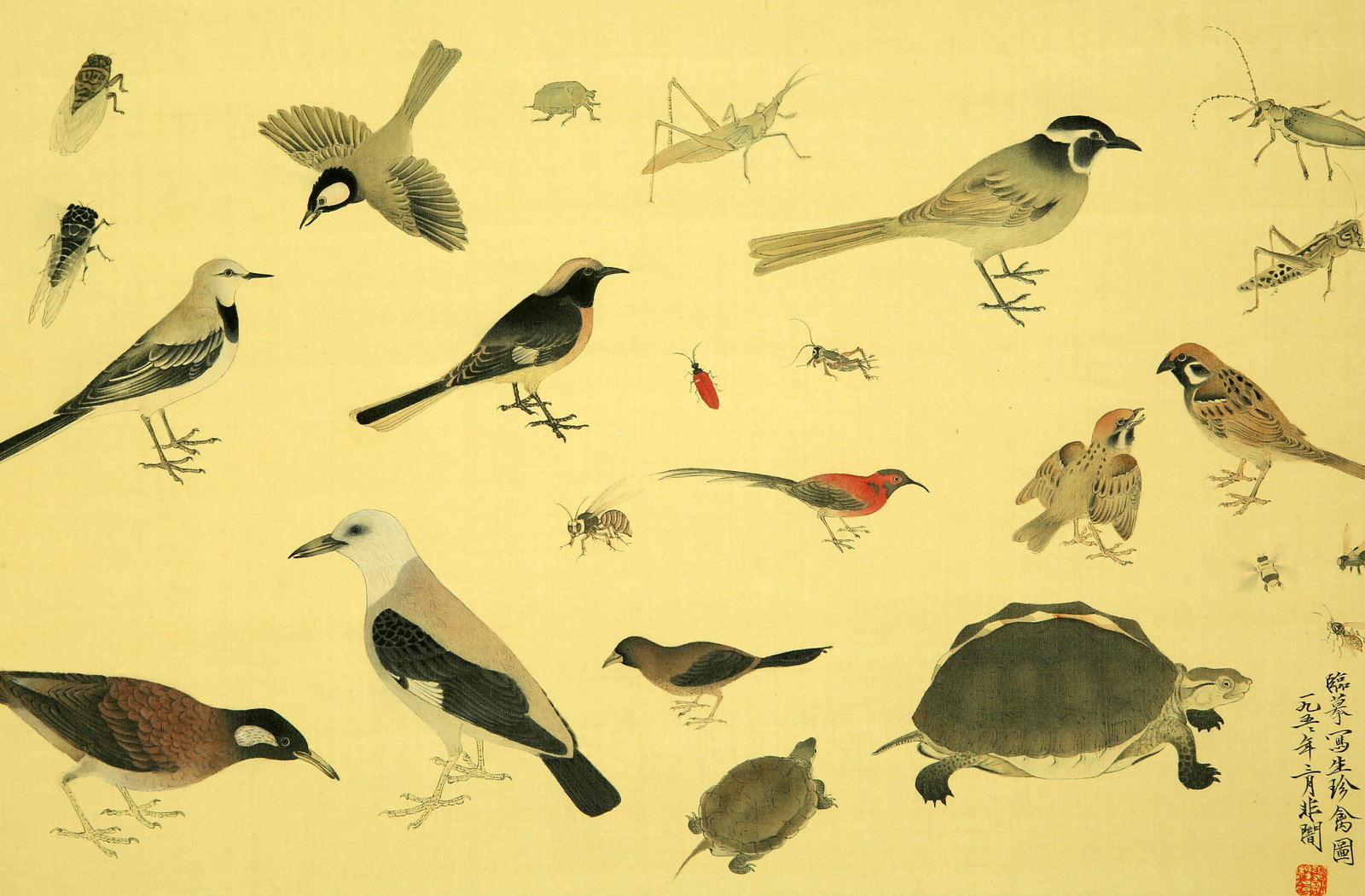 Yu Feian mark sketched rare birds: Colored paper lens 43×65