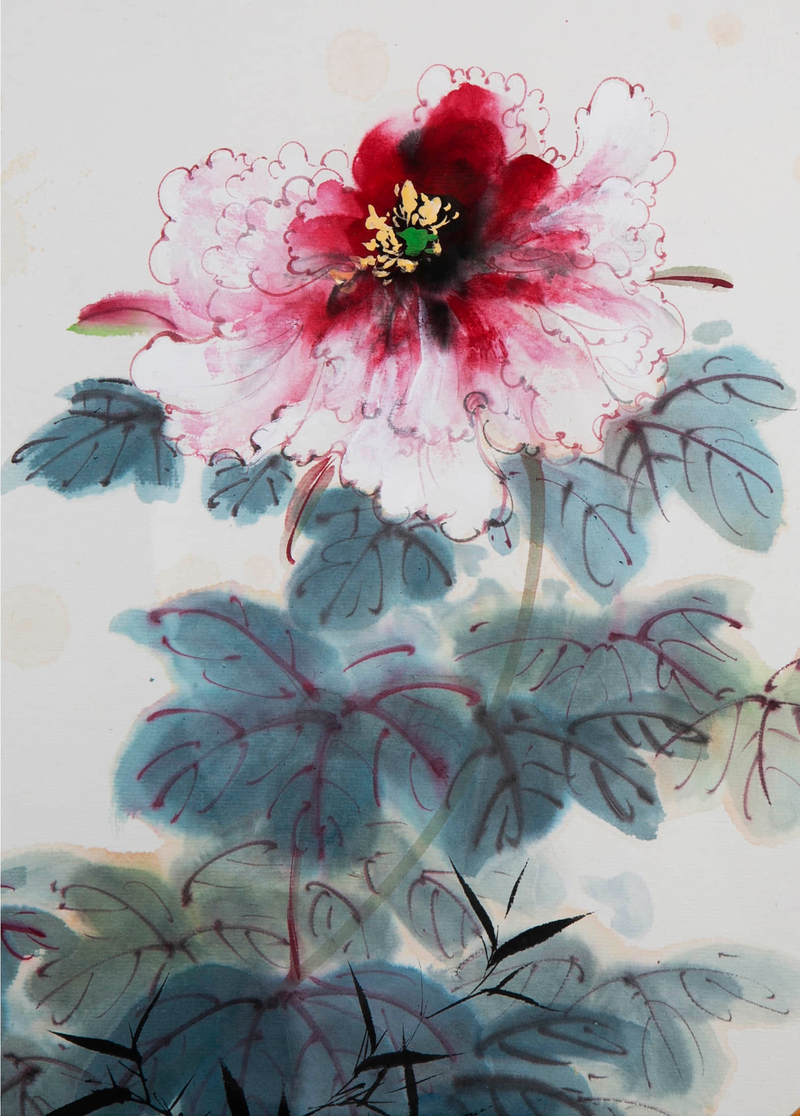 ZhangDaqian flowers and plants - 2