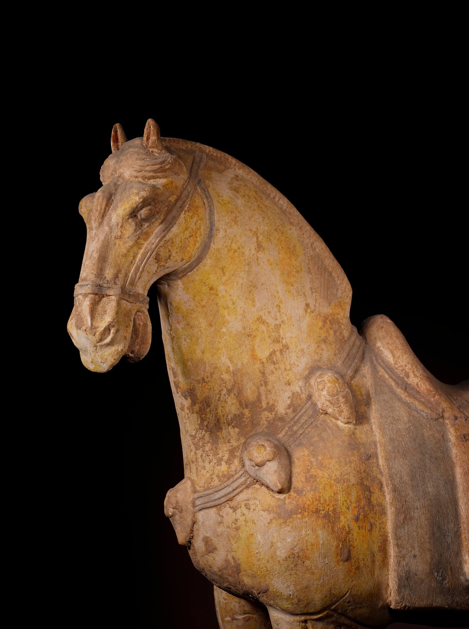 A painted pottery standing horse,Tang Dynasty - 2