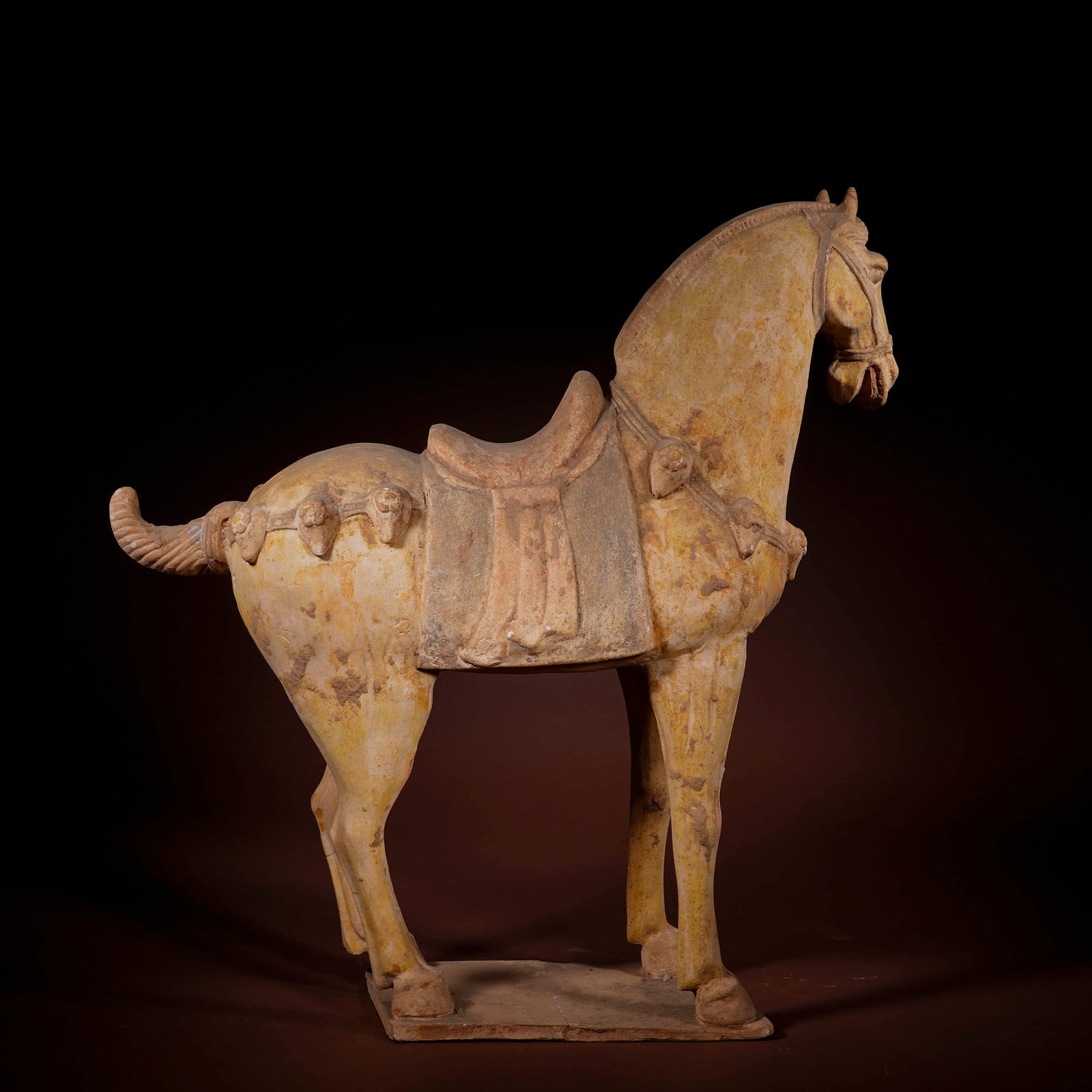 A painted pottery standing horse,Tang Dynasty - 3