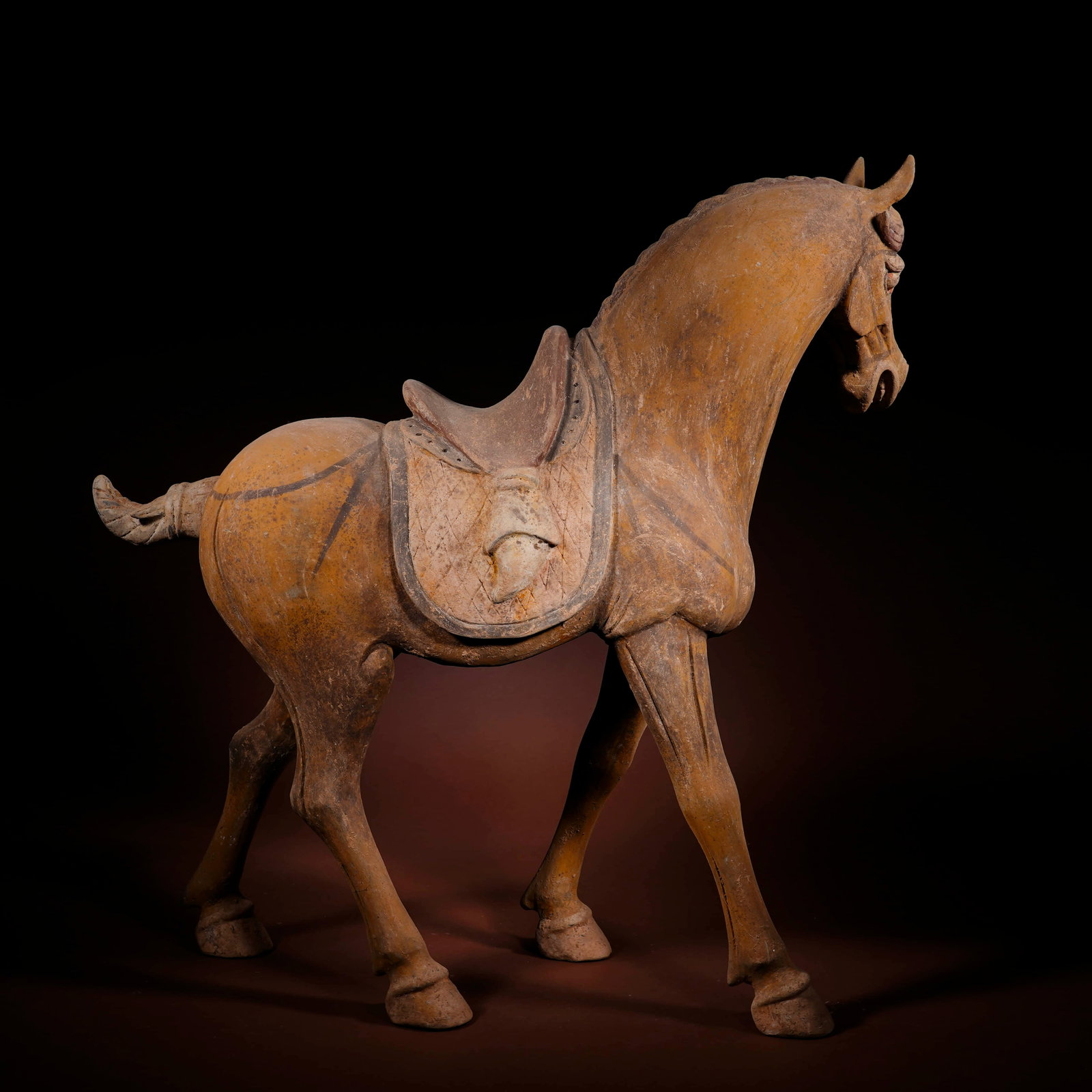 A Large chestnut painted pottery walking horse, Tang Dynasty,TL tested - 4