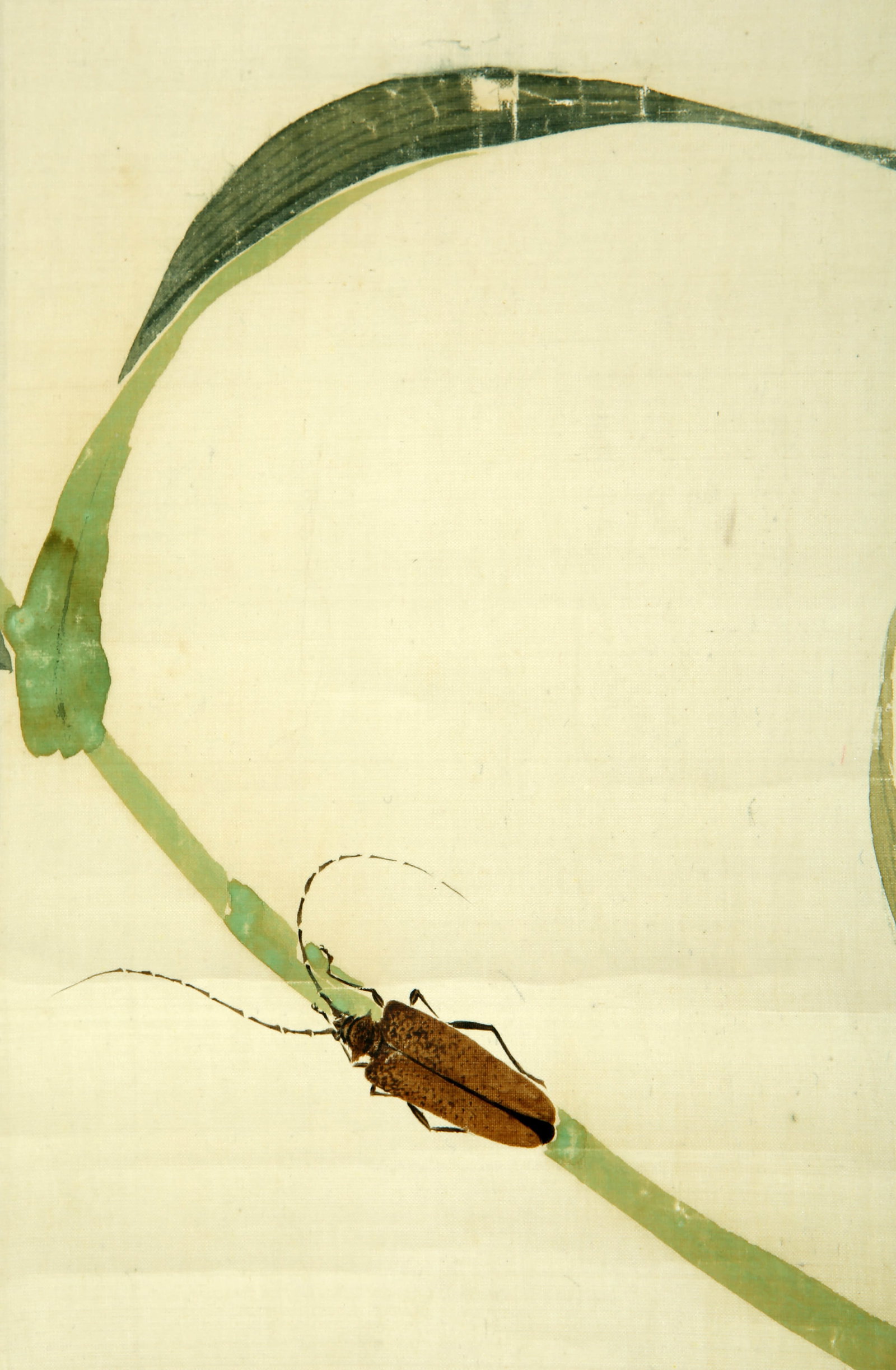 Zhou Lianxia Flower Grass Worm - 4