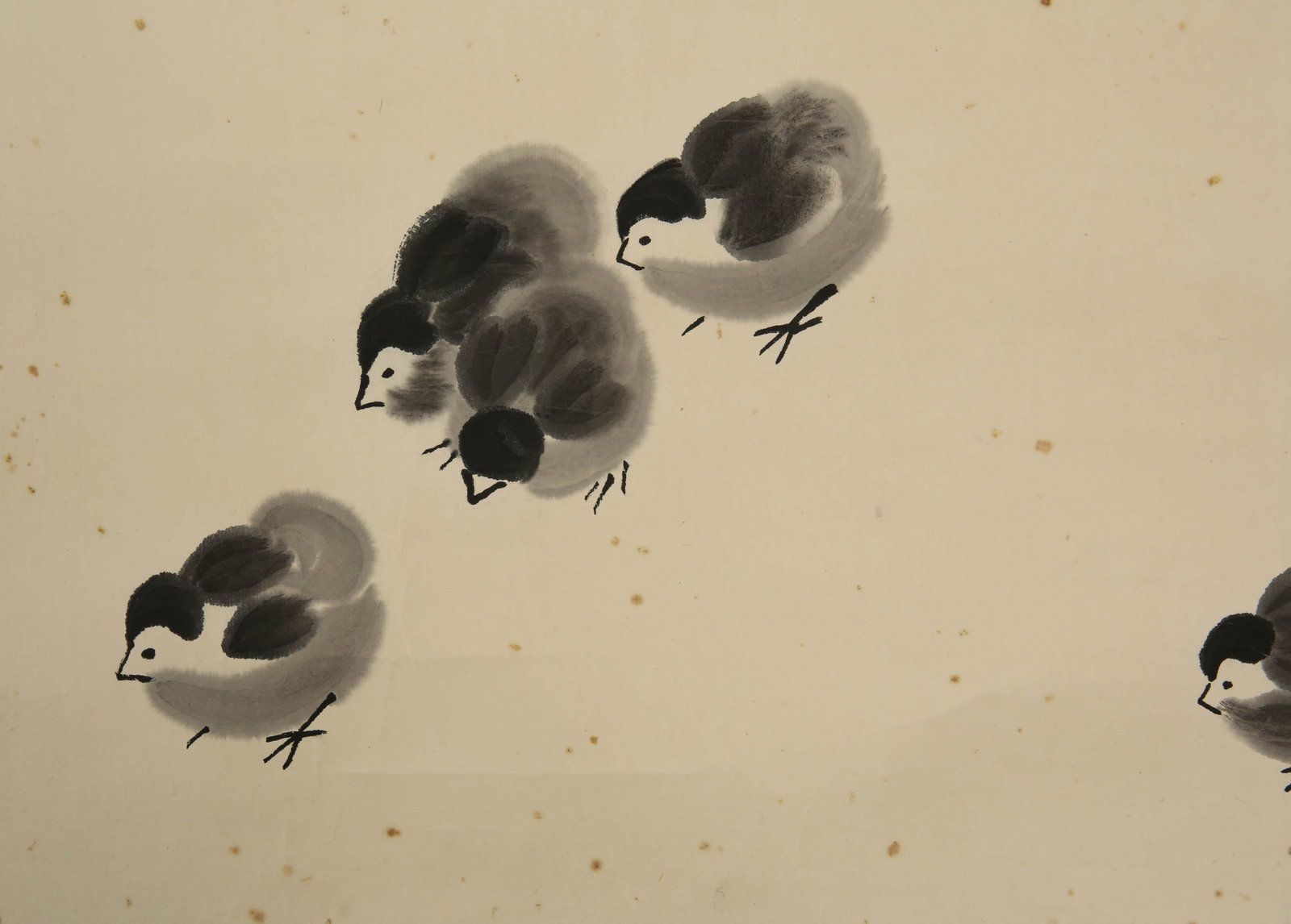 Qi Baishi chicks - 3