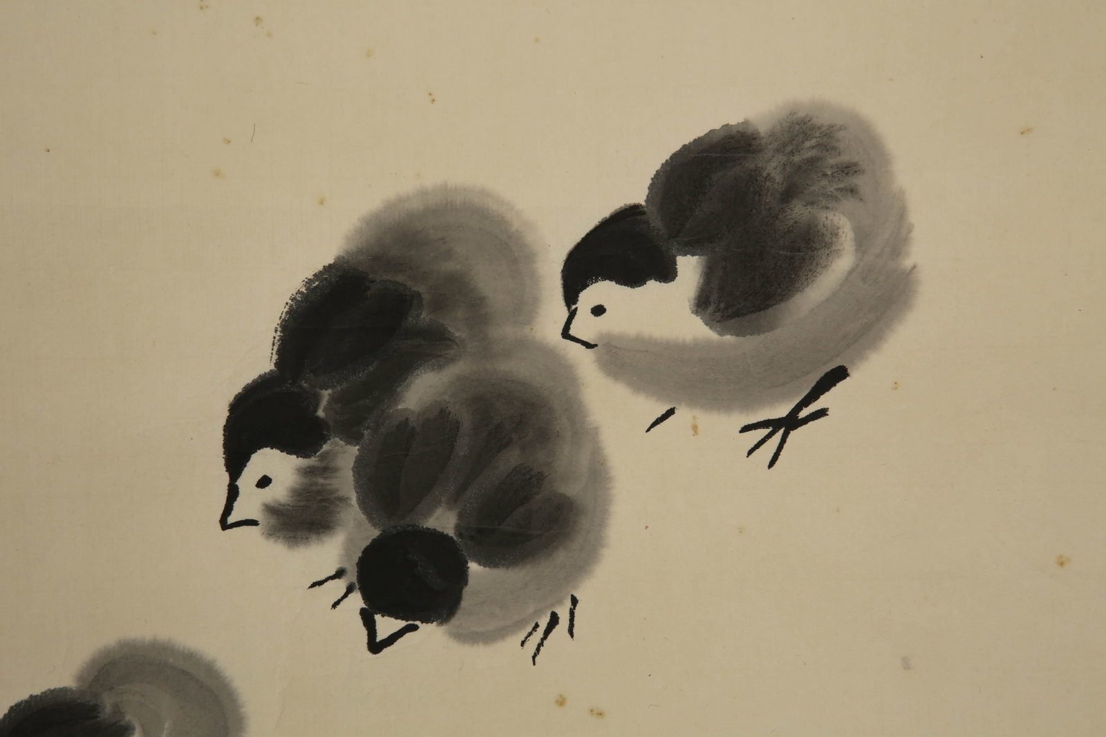 Qi Baishi chicks - 4