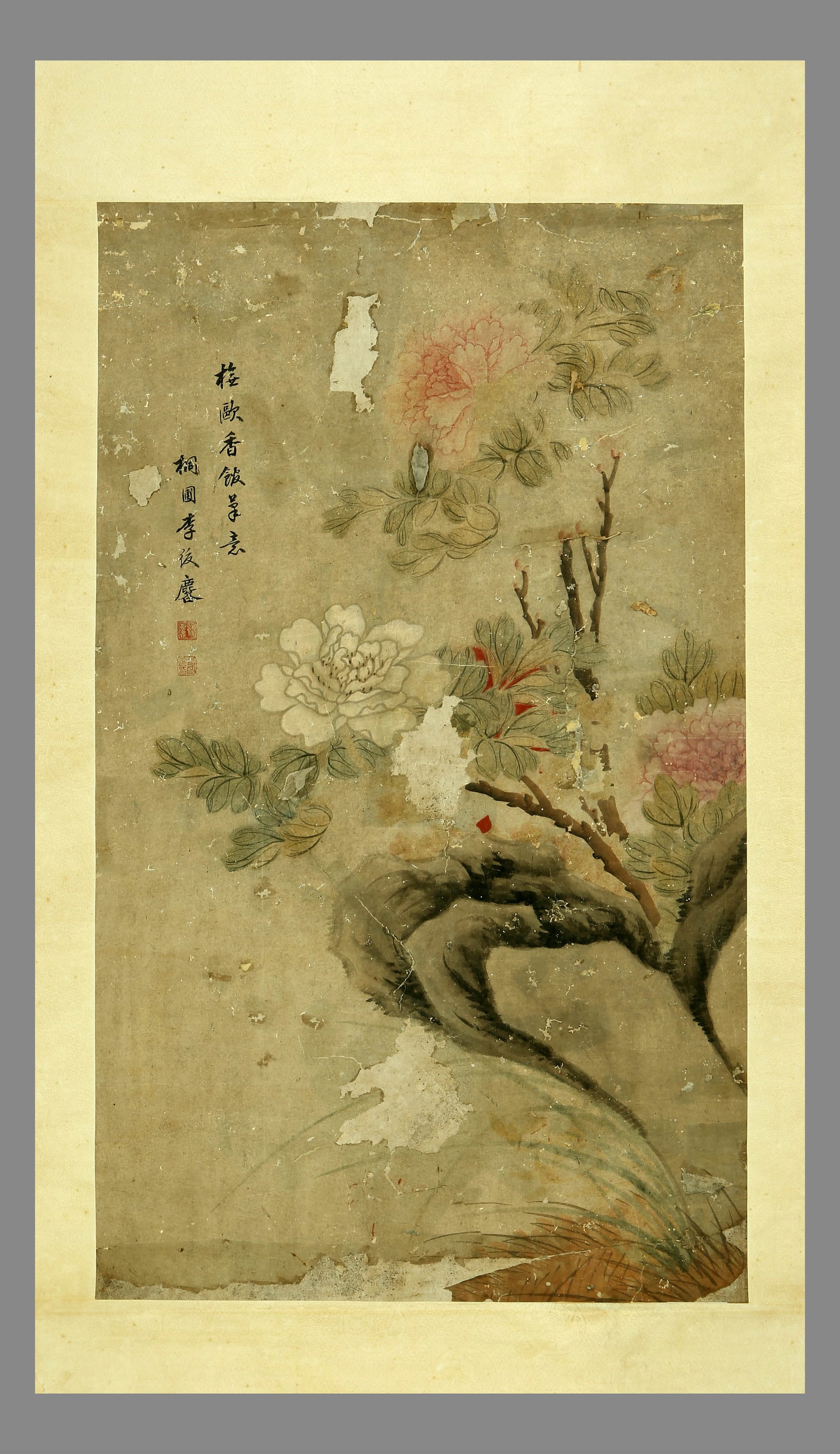 Libalin flowers and plants - 2