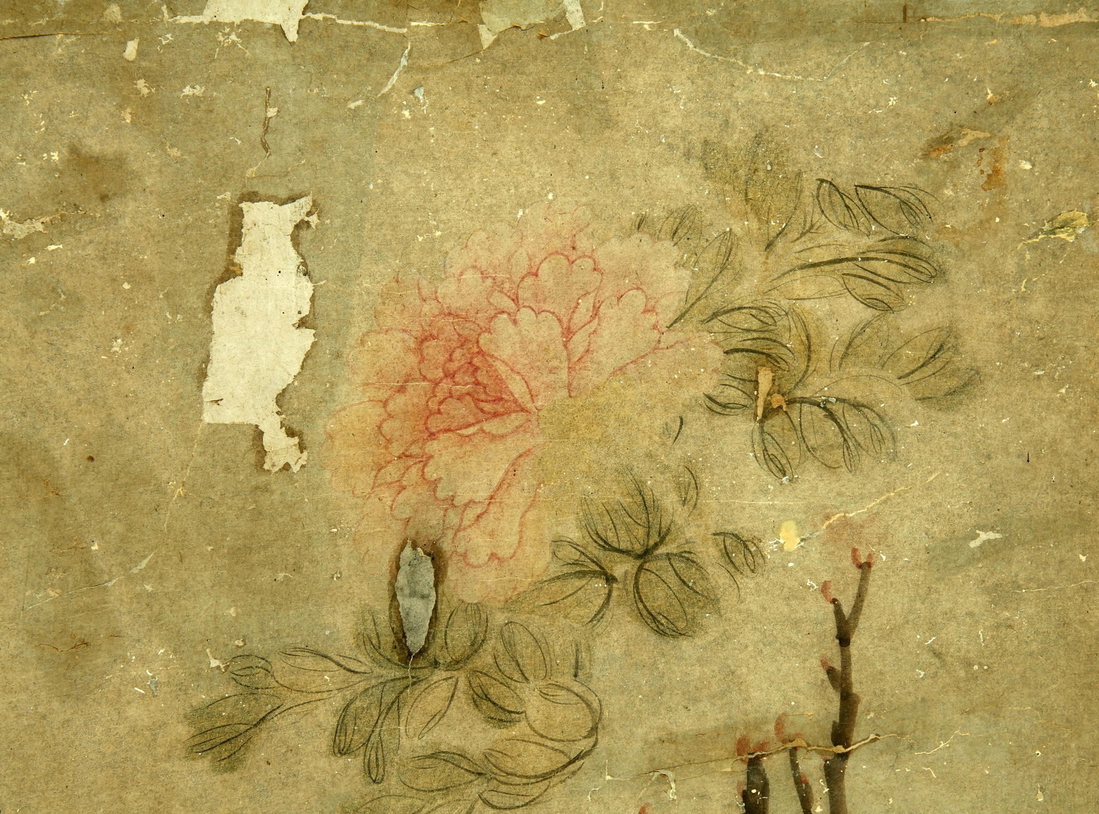 Libalin flowers and plants - 3