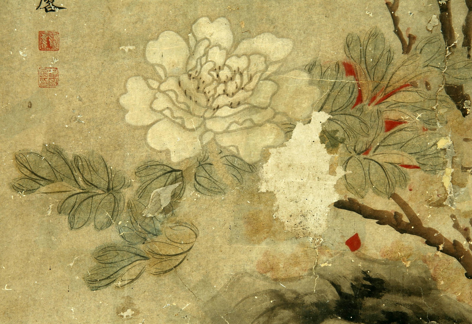 Libalin flowers and plants - 4
