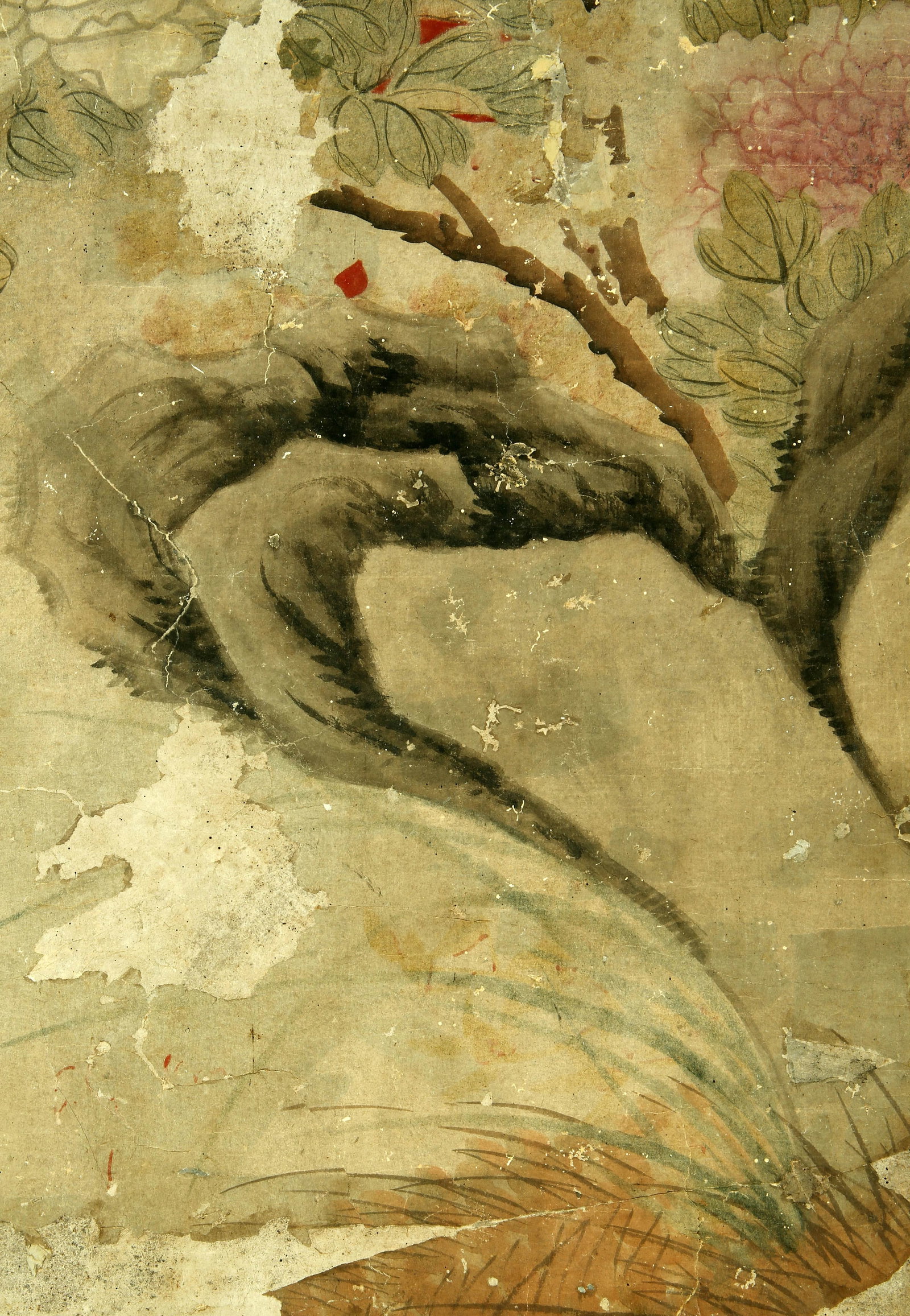 Libalin flowers and plants - 5