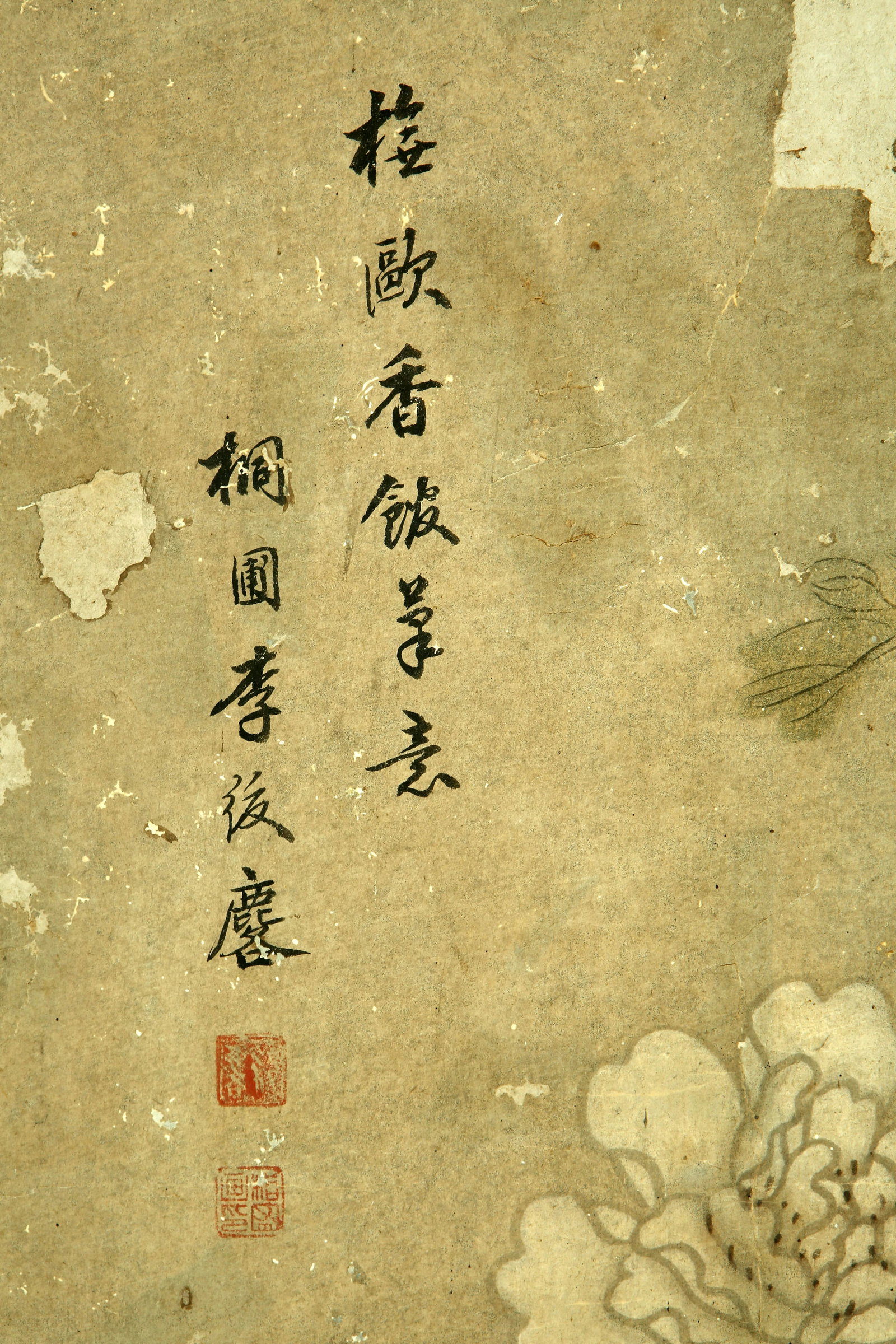 Libalin flowers and plants - 6
