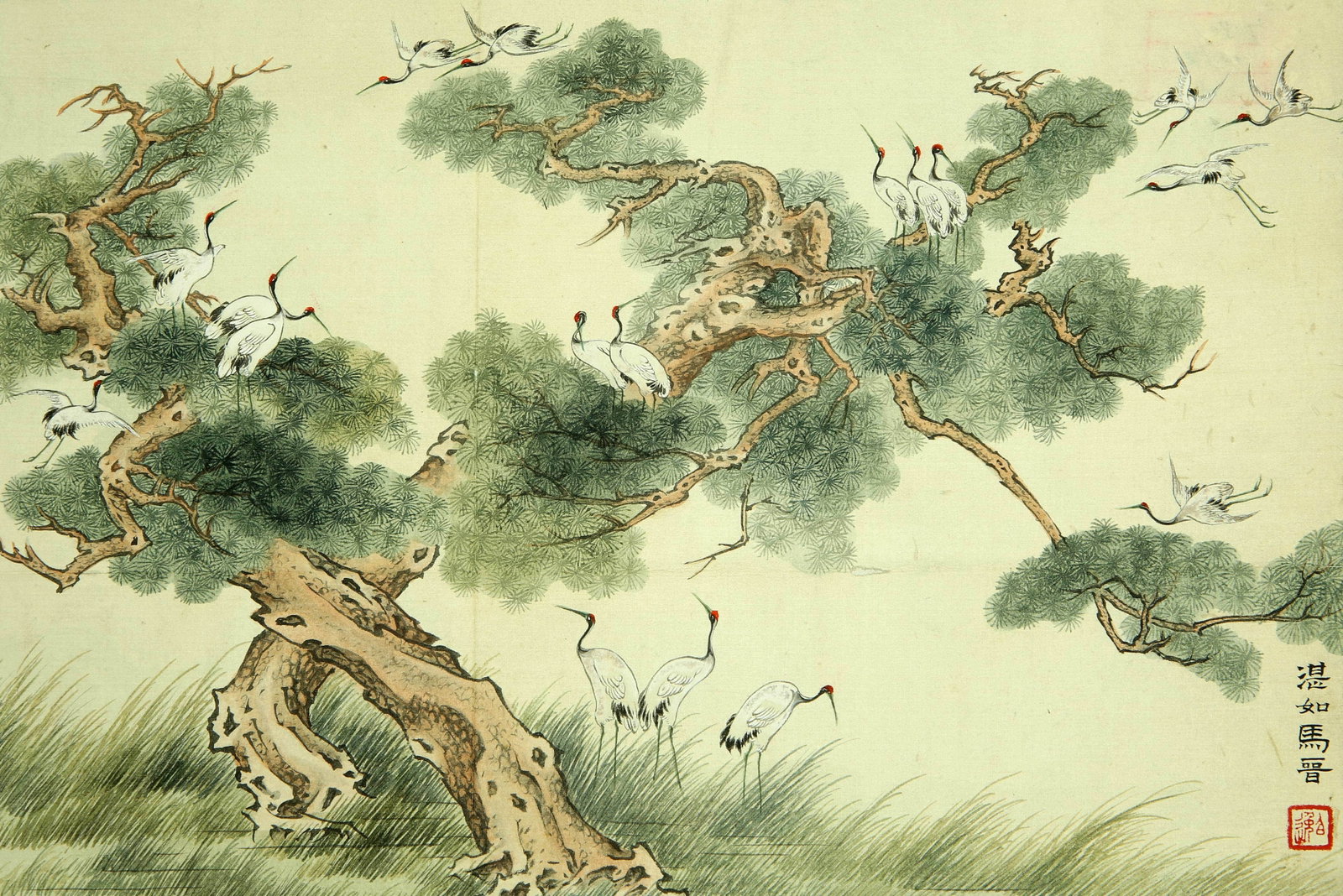 Ma Jin Songhetu (1 of 6)
