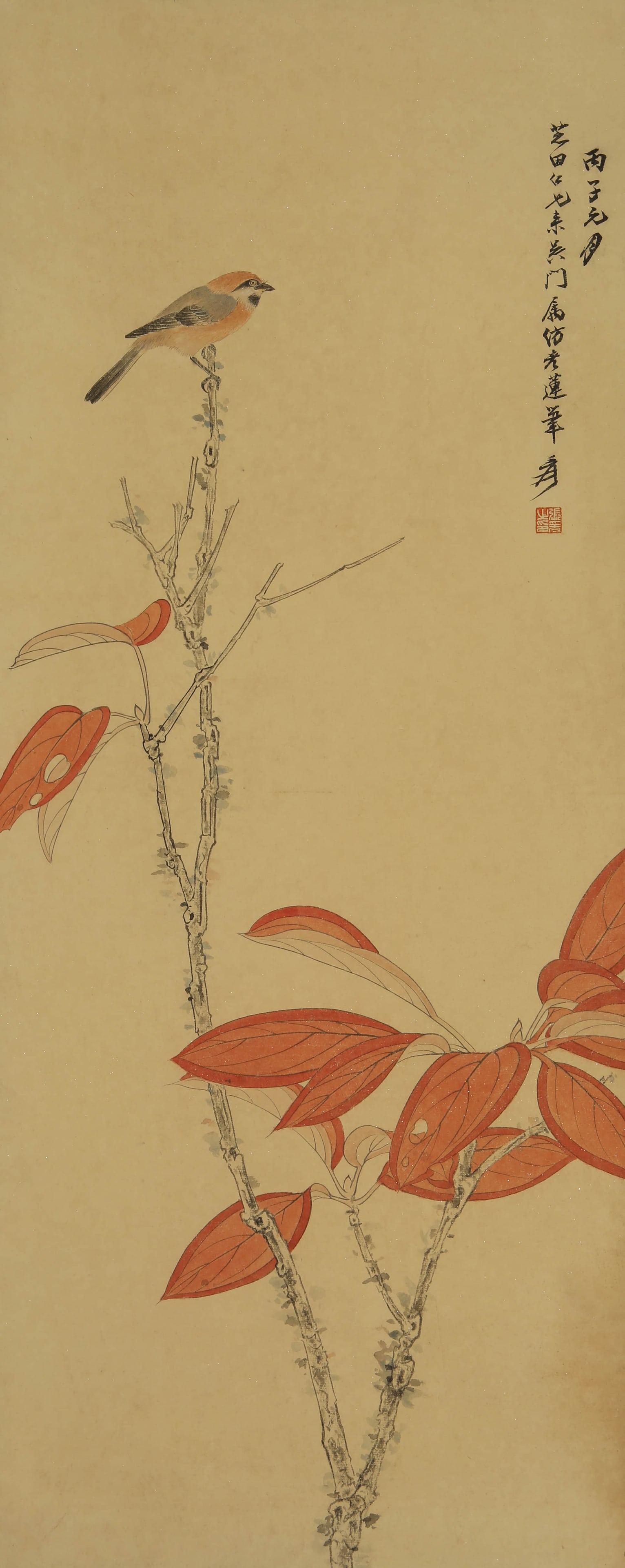 Zhang Daqian's red-leaf bird: 90by36 colored paper vertical shaft
