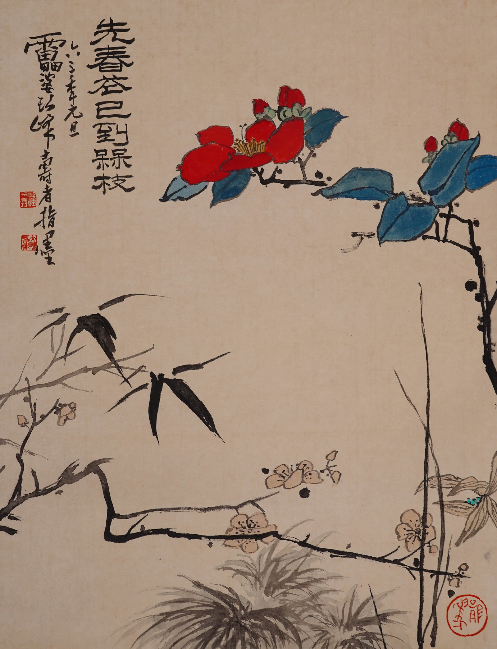 Pan Tianshou primrose has reached plum blossom. (1 of 6)