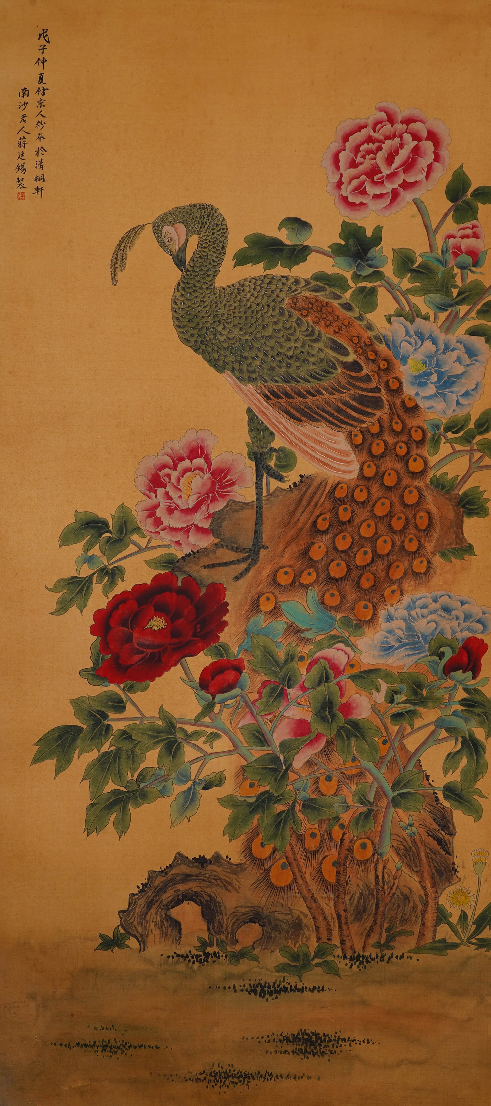 Jiang Tingxi Rich Peacock (1 of 6)