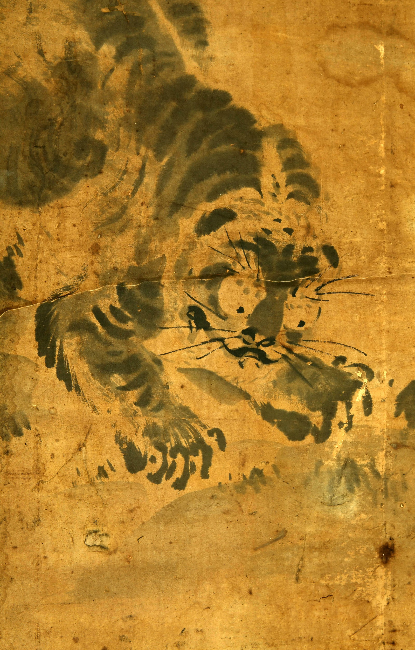 Muxi tiger - 3